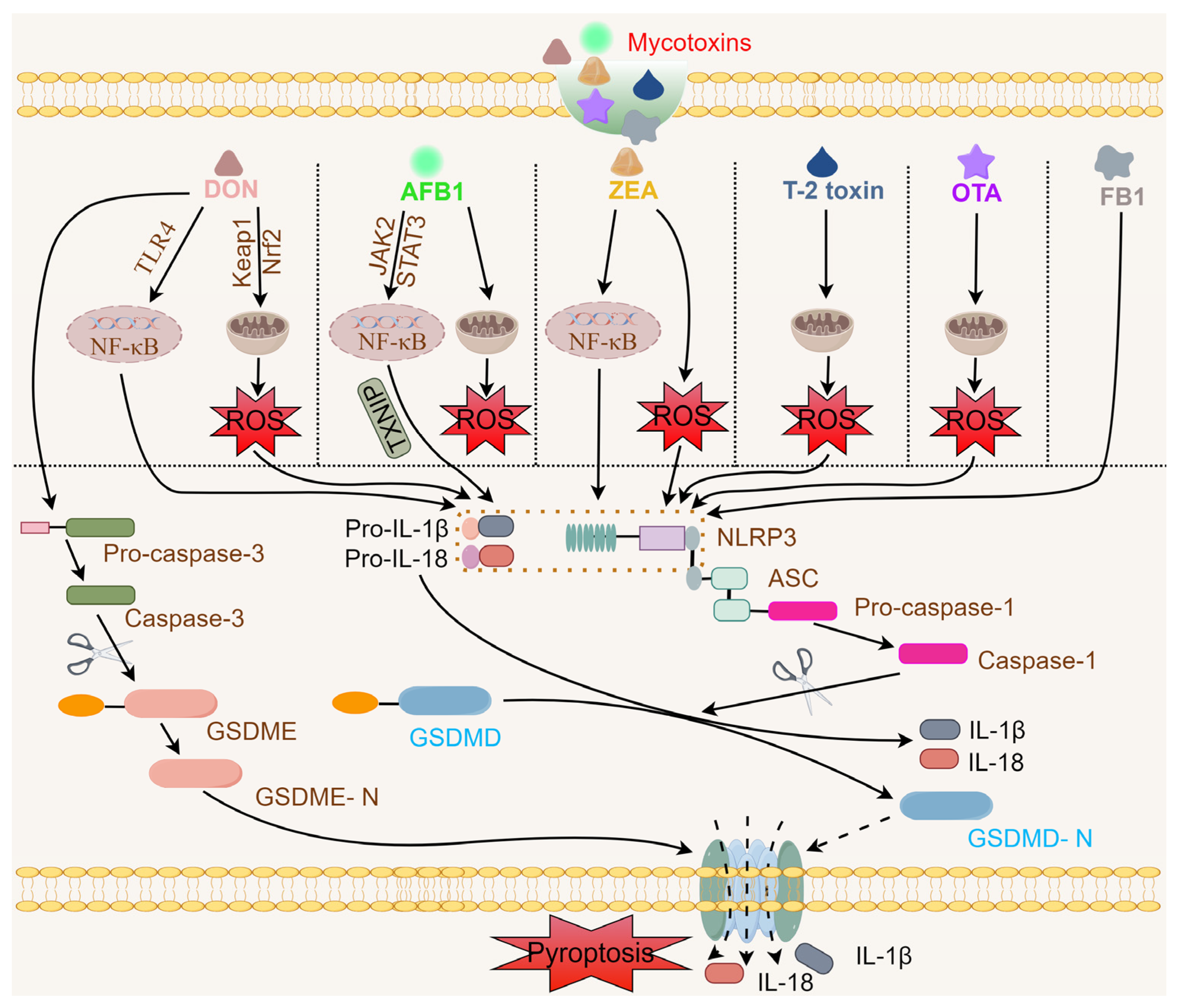 Vetsci 11 00291 g001