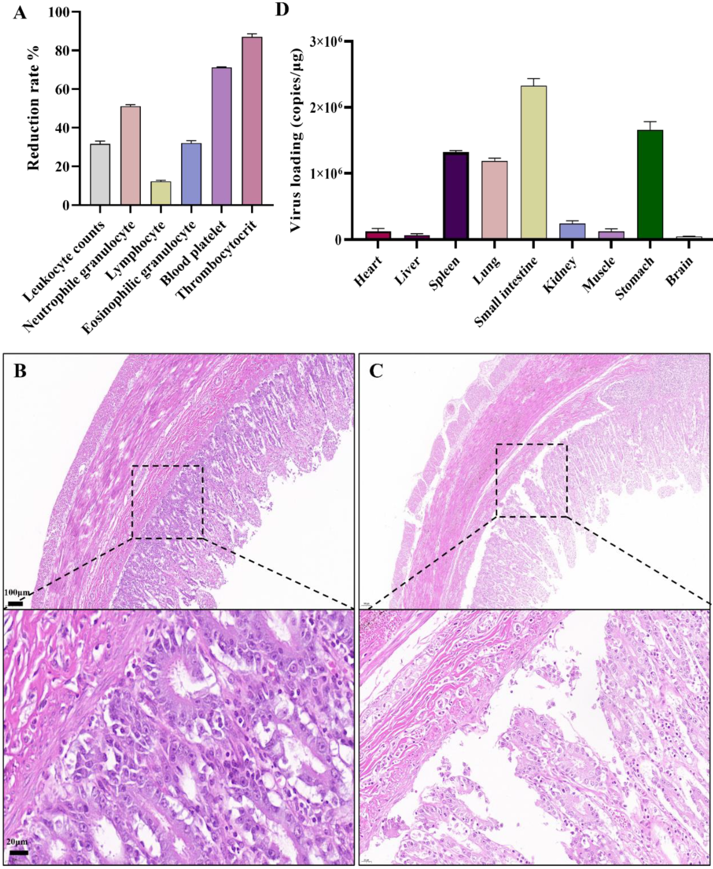 Vetsci 11 00292 g004
