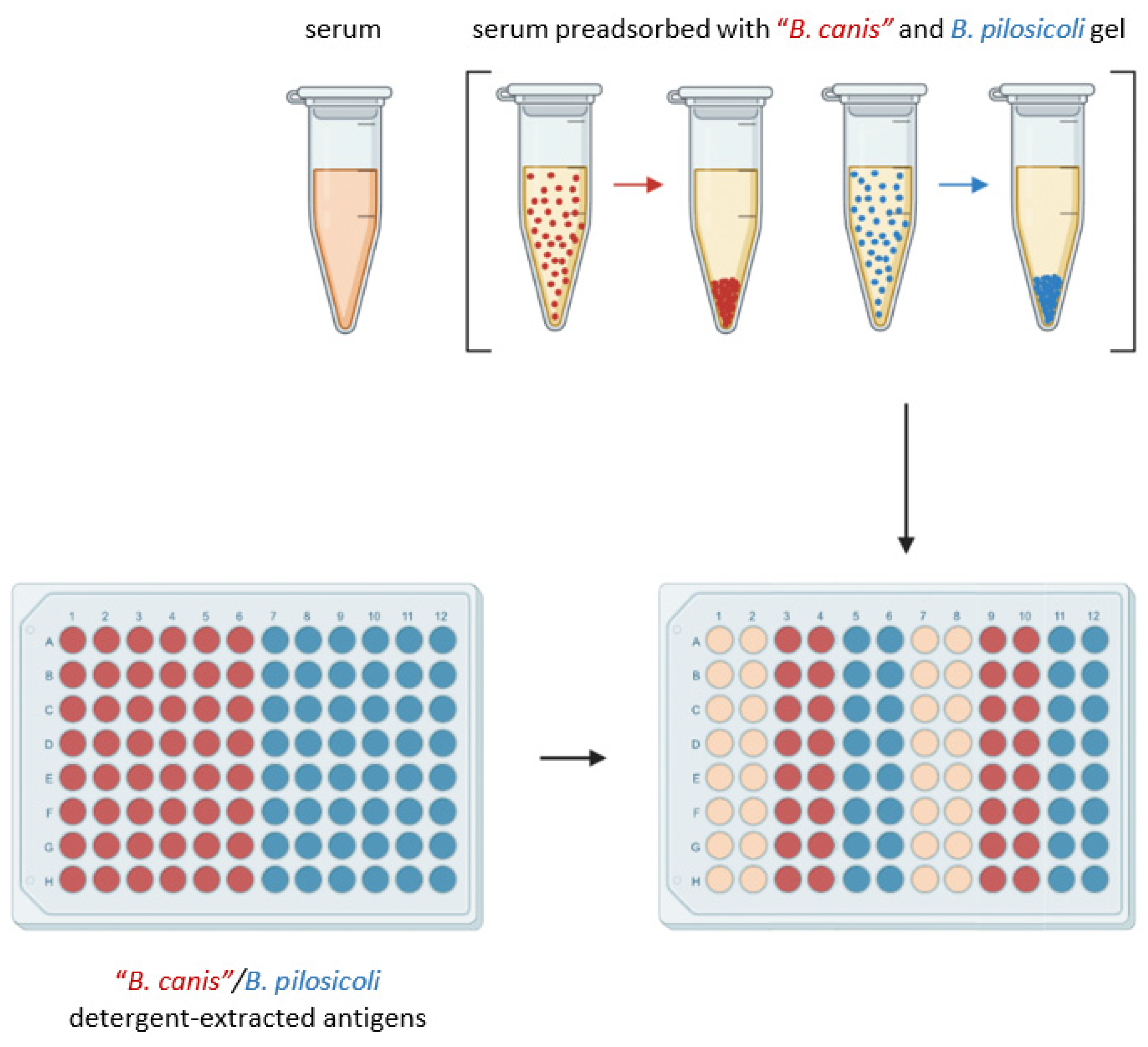 Vetsci 11 00302 g001 Vetsci 11 00302 g001