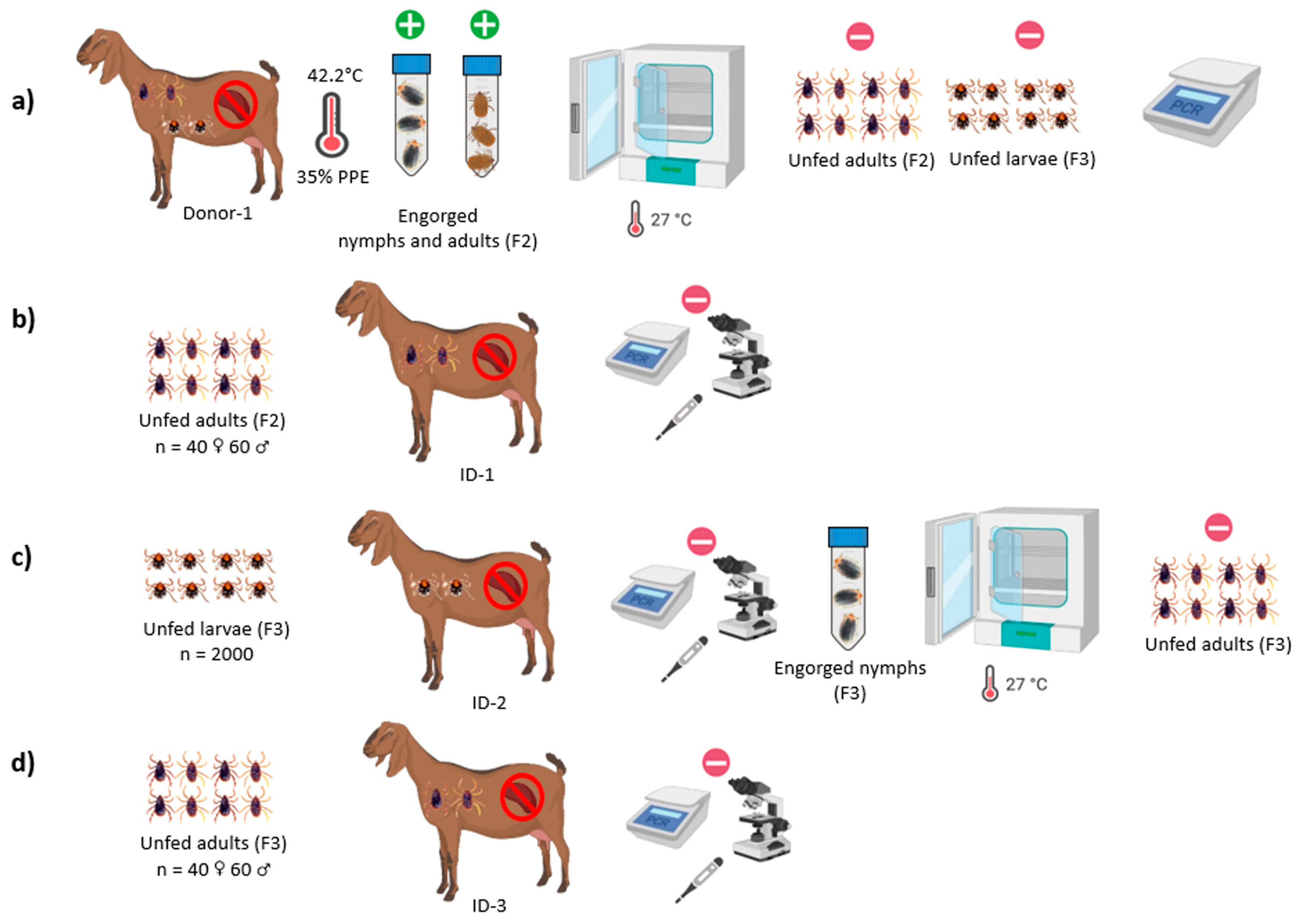 Vetsci 11 00309 g002
