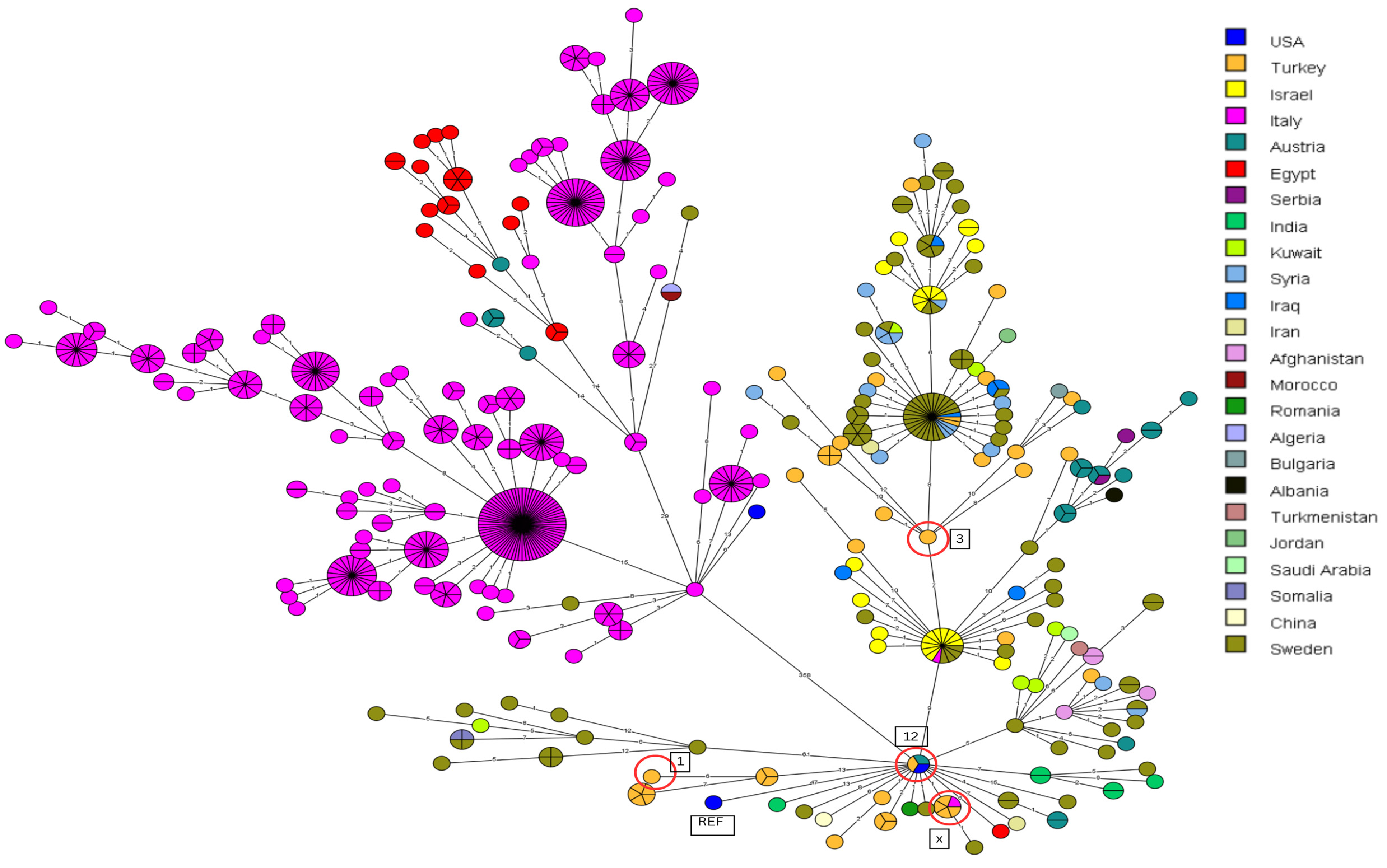 Vetsci 11 00316 g002 Vetsci 11 00316 g002