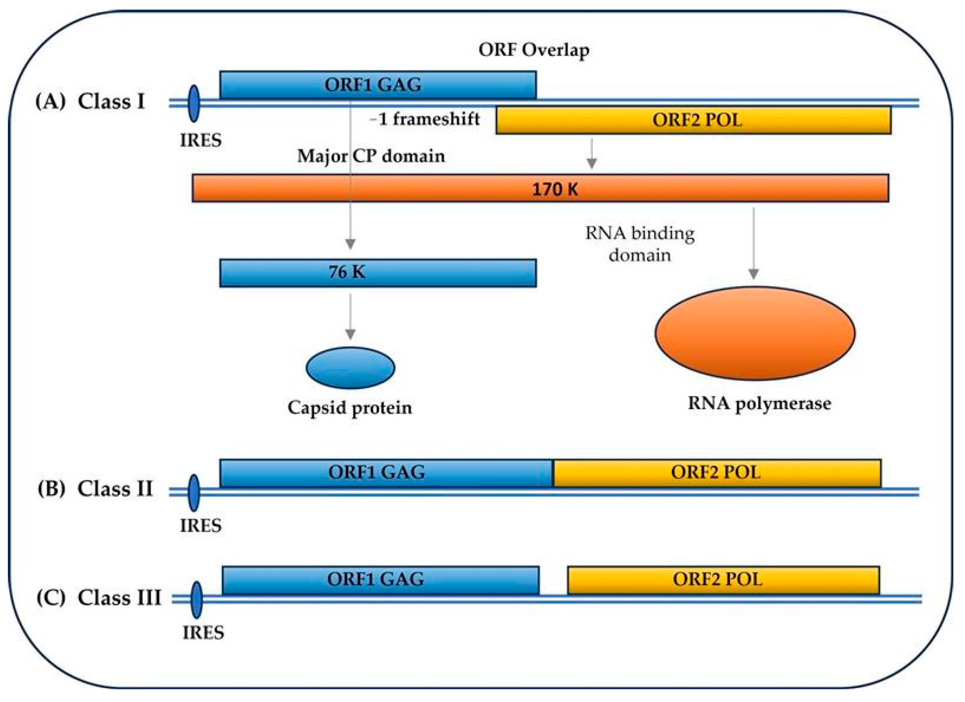 Vetsci 11 00321 g002 Vetsci 11 00321 g002
