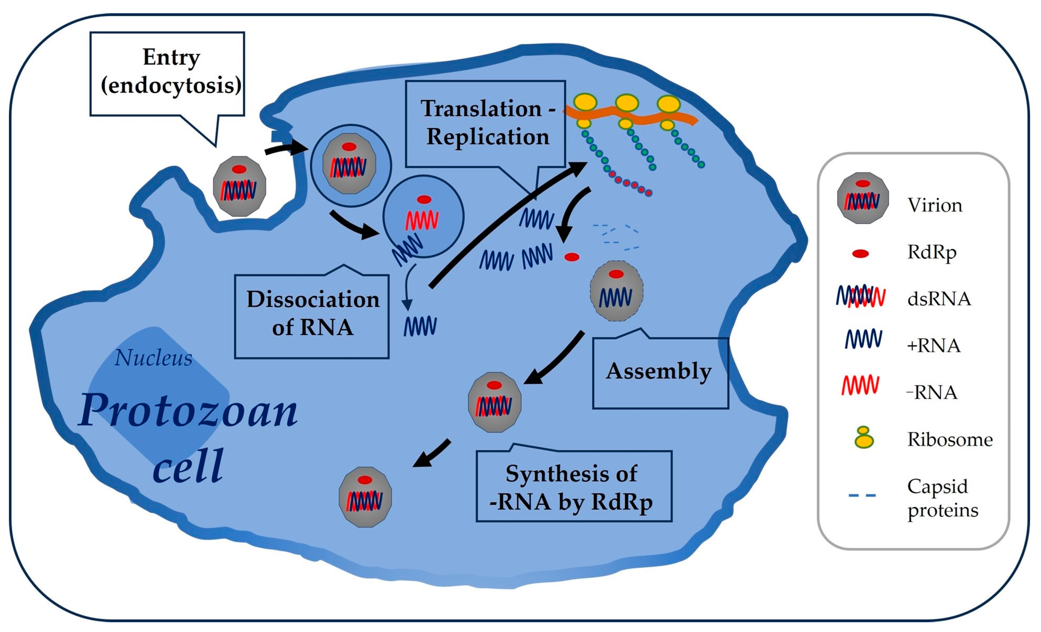 Vetsci 11 00321 g003 Vetsci 11 00321 g003