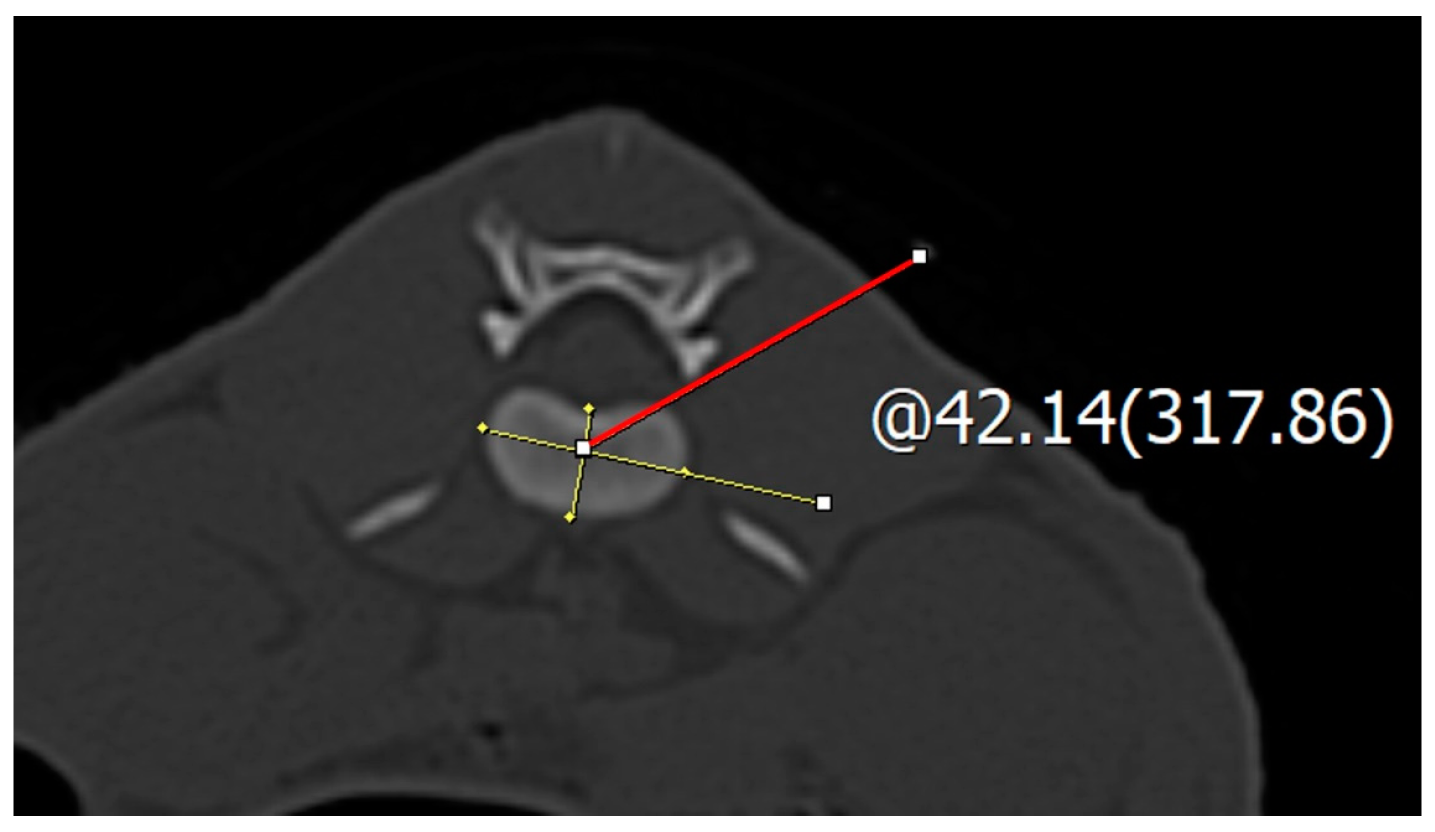 Vetsci 11 00325 g002