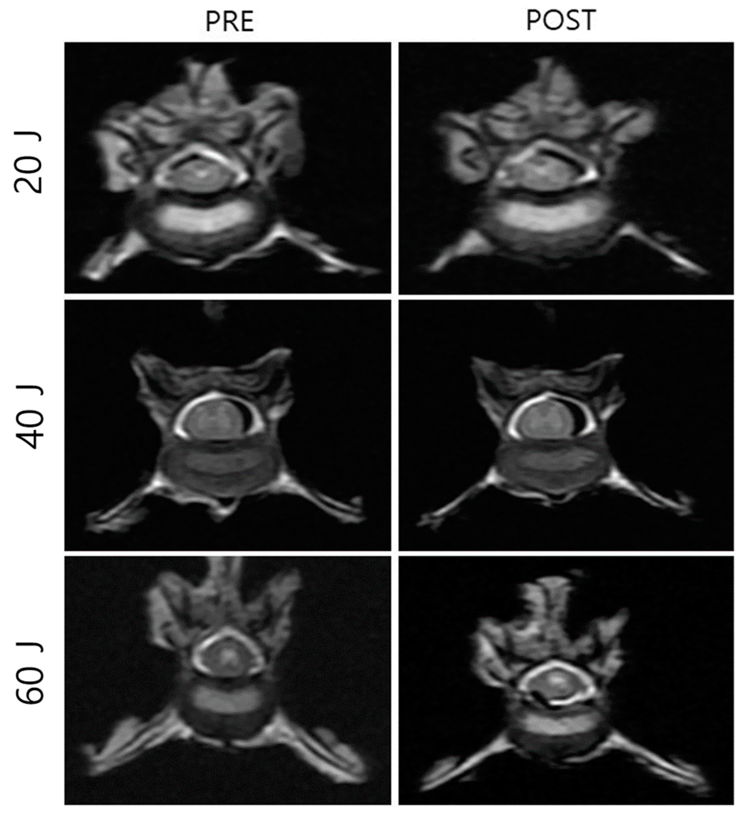 Vetsci 11 00325 g006