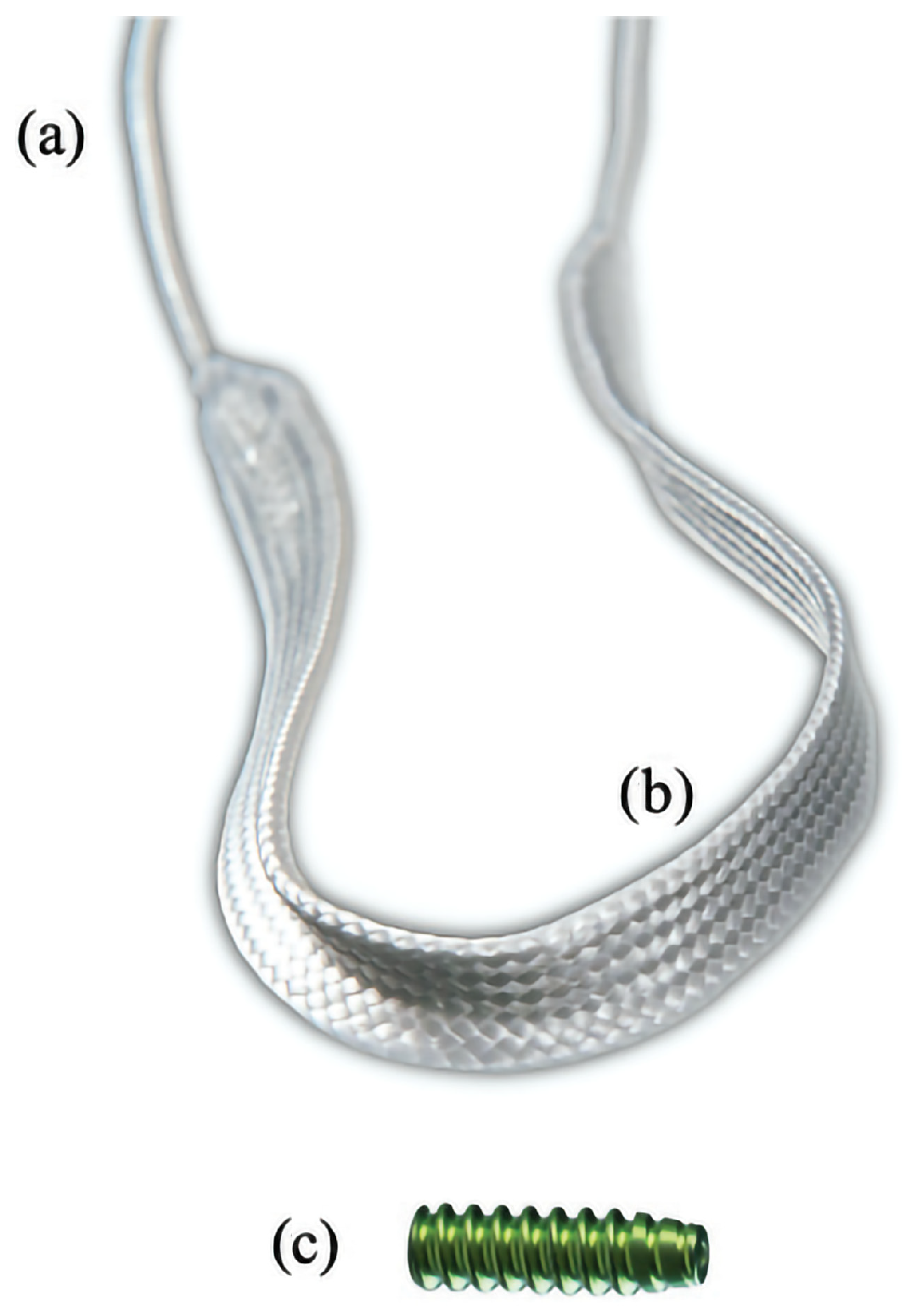 Vetsci 11 00334 g002