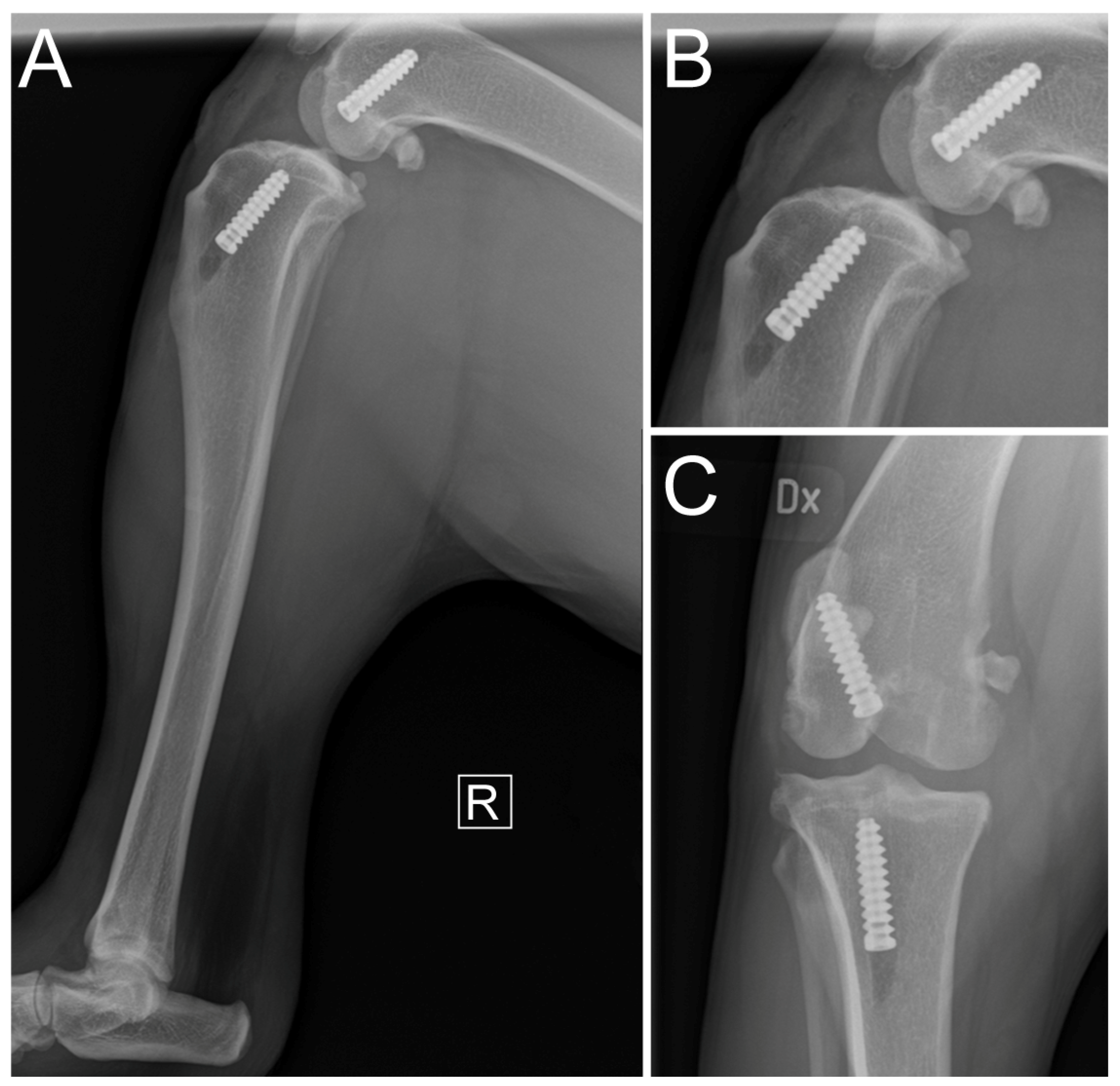 Vetsci 11 00334 g005