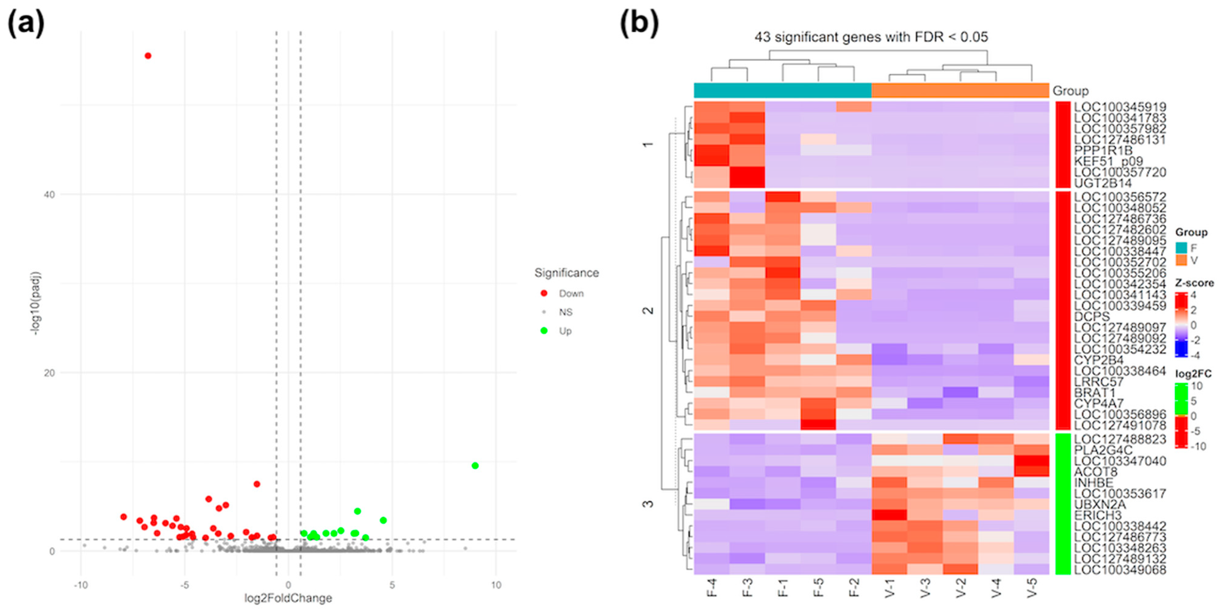 Vetsci 11 00347 g002