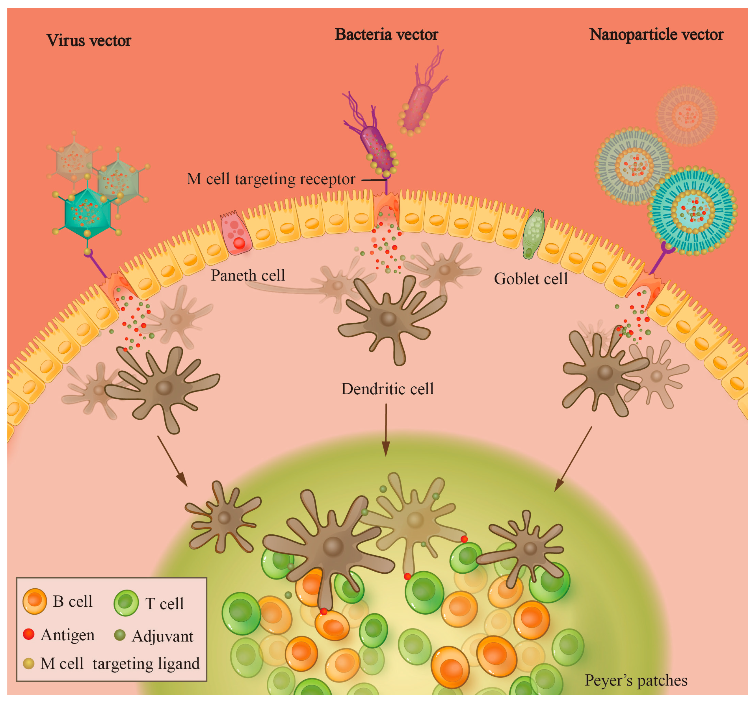 Vetsci 11 00353 g001