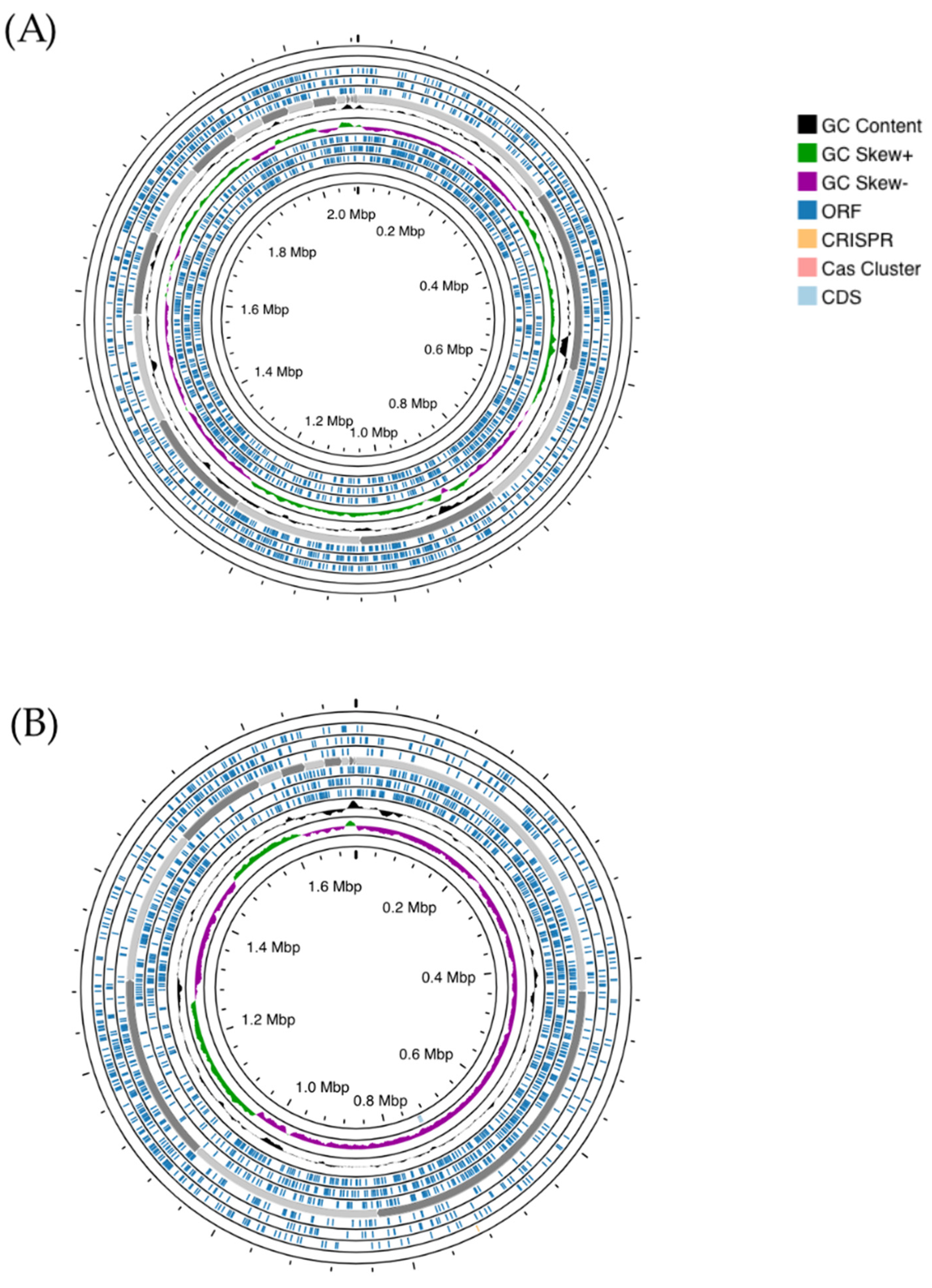 Vetsci 11 00365 g001