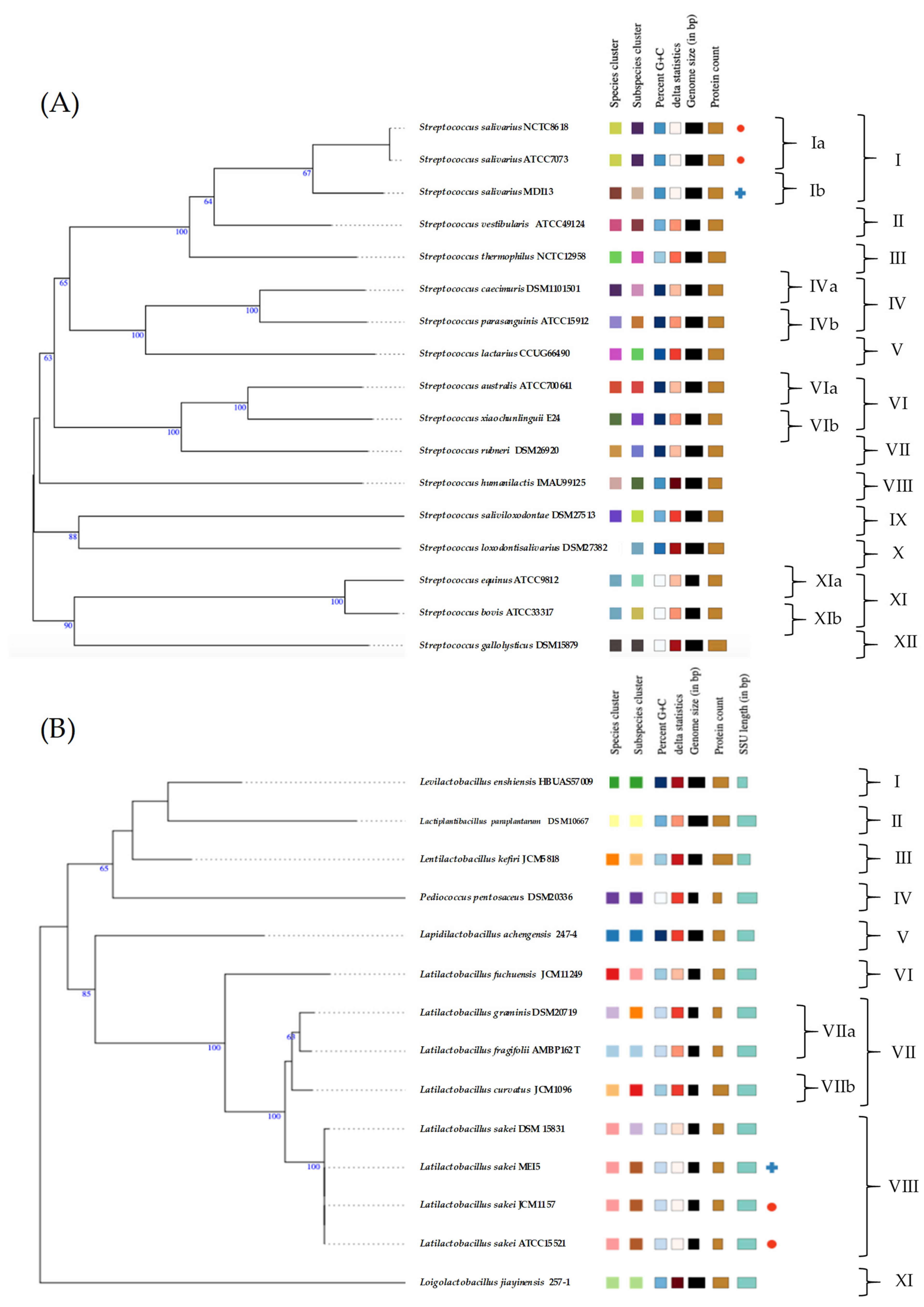 Vetsci 11 00365 g002
