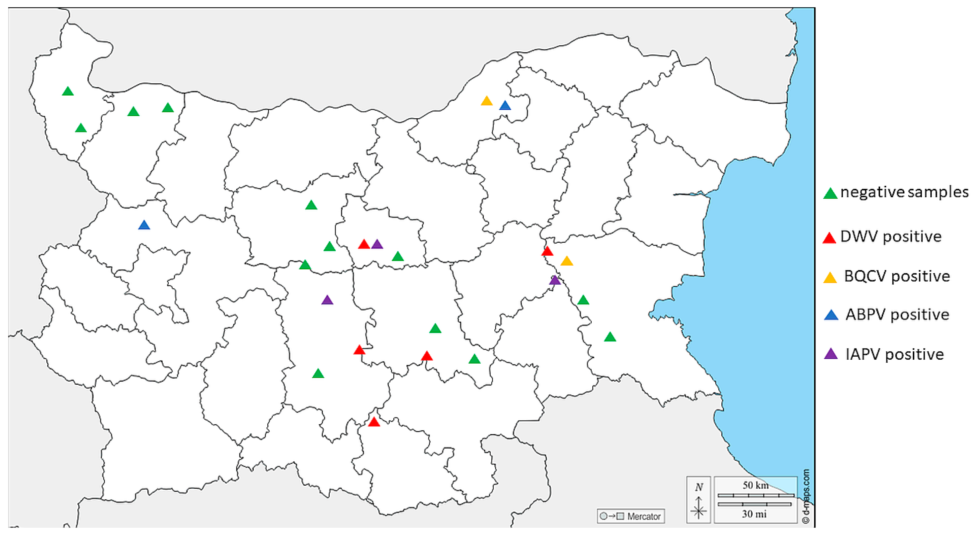 Vetsci 11 00369 g002