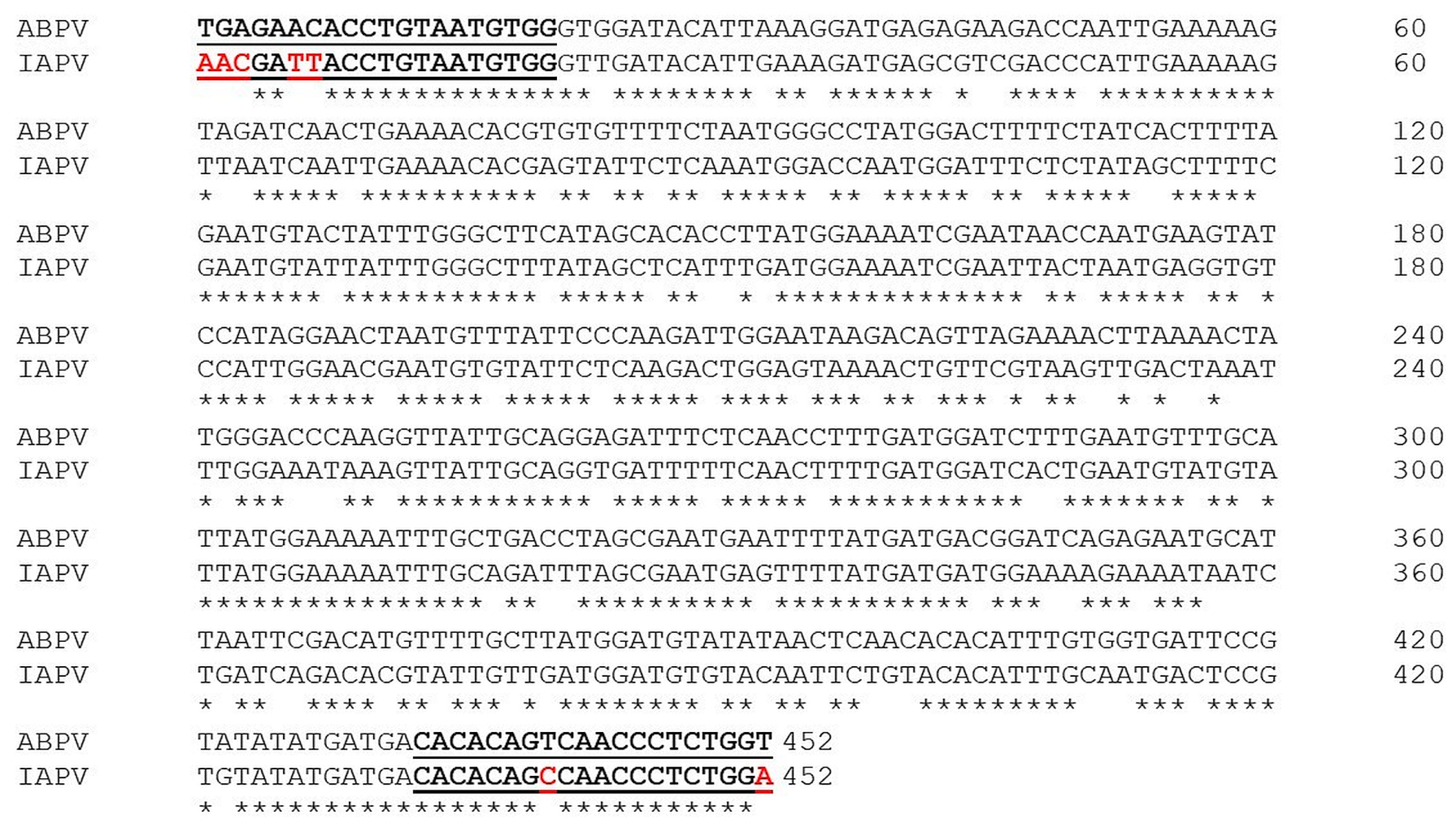 Vetsci 11 00369 g007