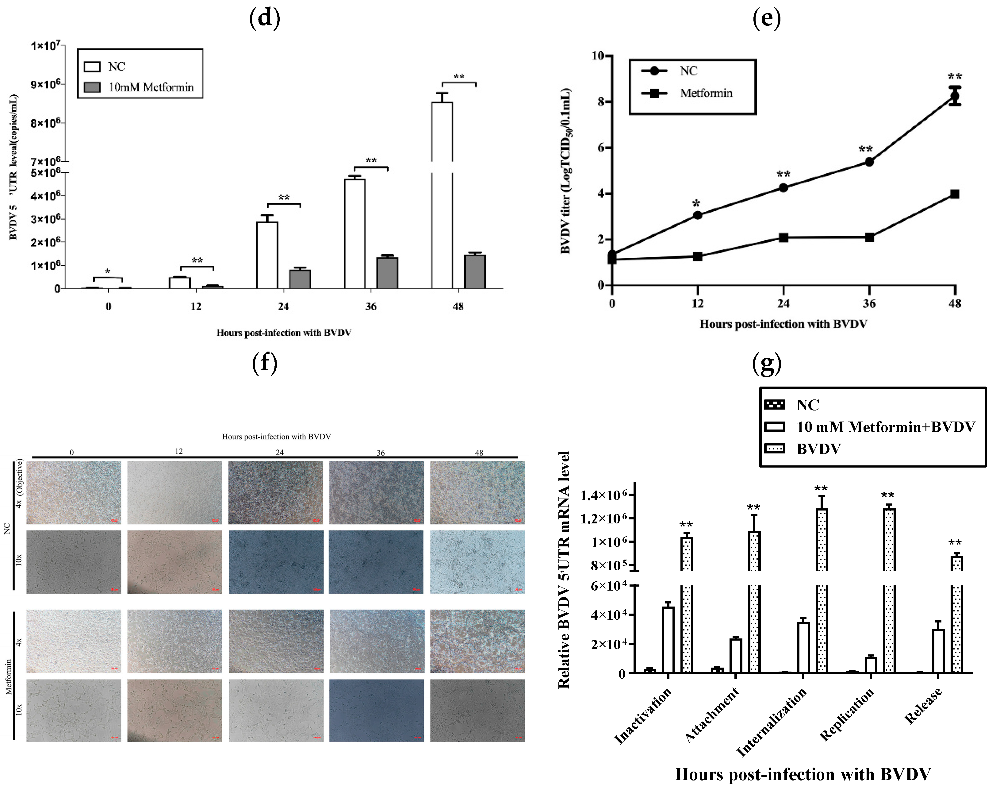 Vetsci 11 00376 g001b
