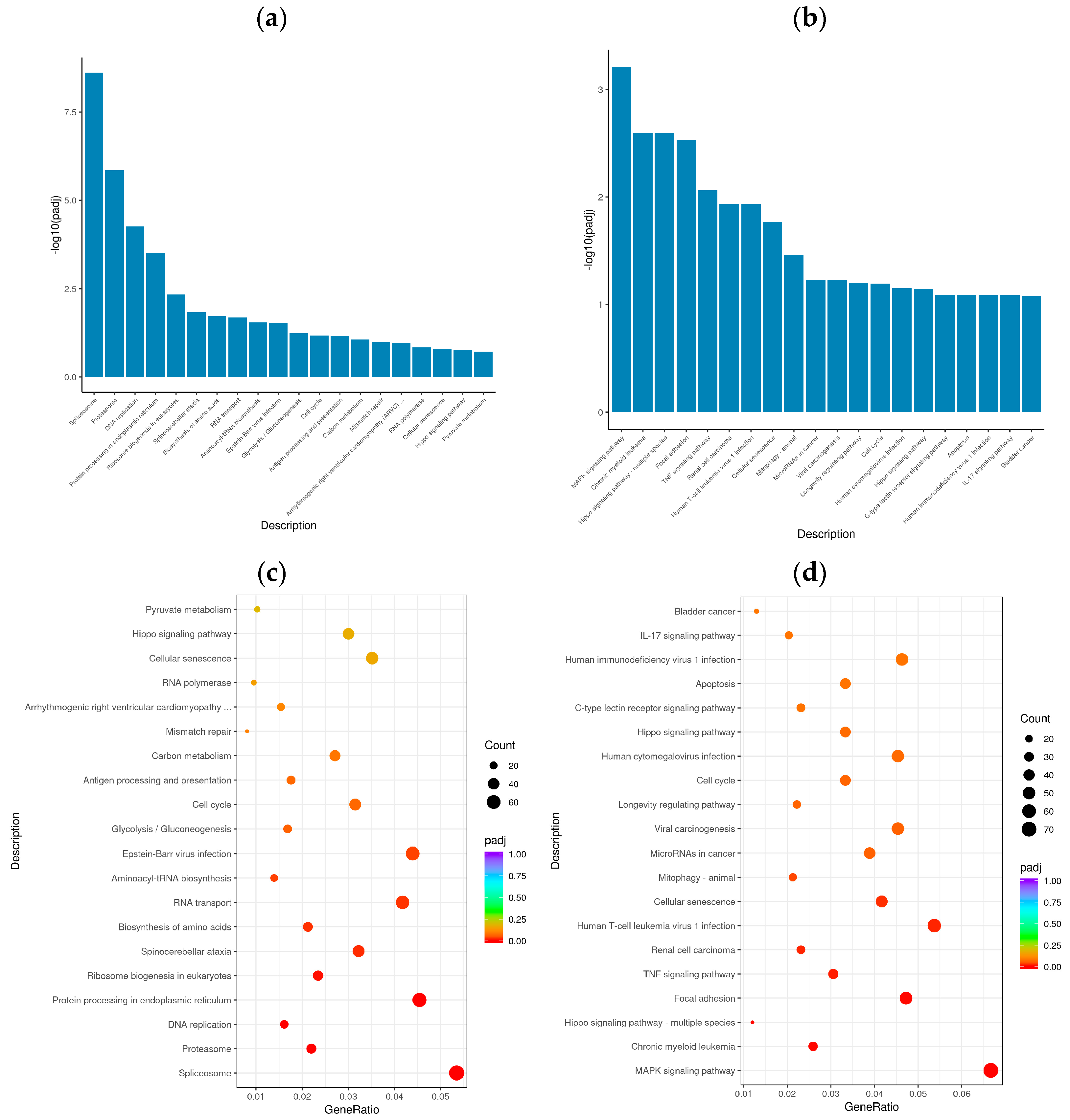 Vetsci 11 00376 g005