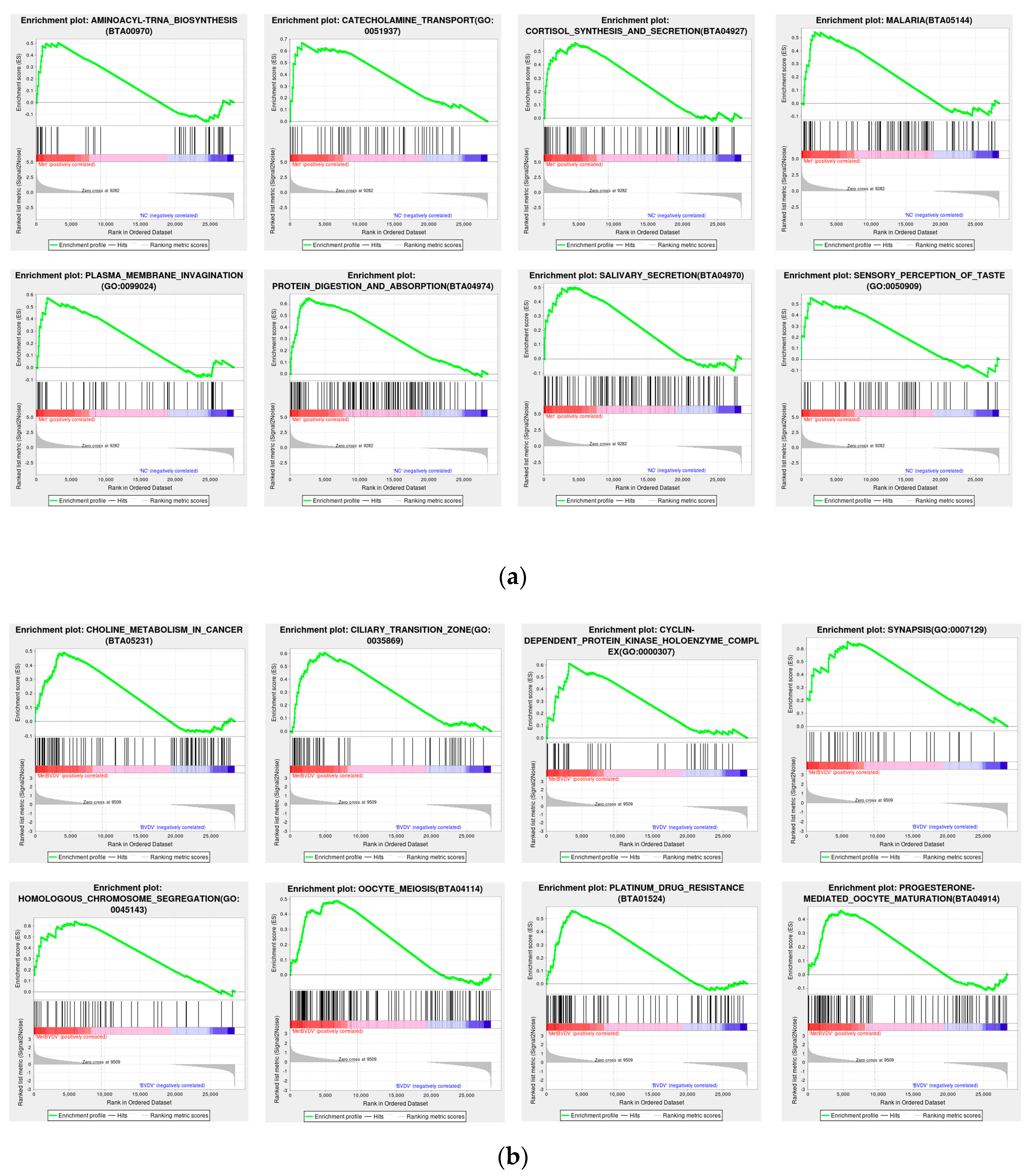 Vetsci 11 00376 g006