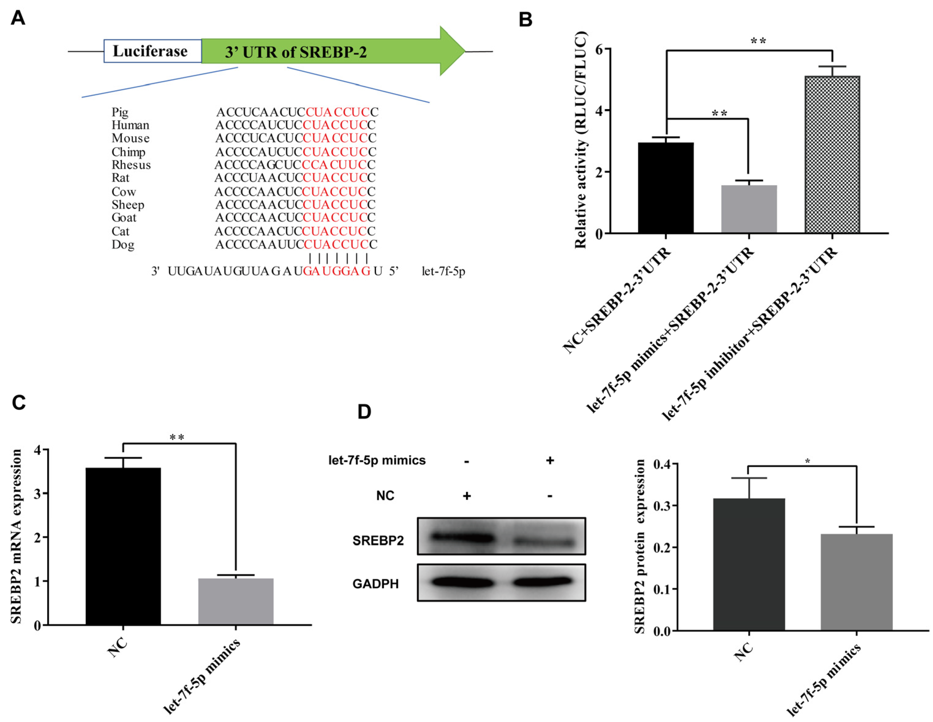 Vetsci 11 00392 g004