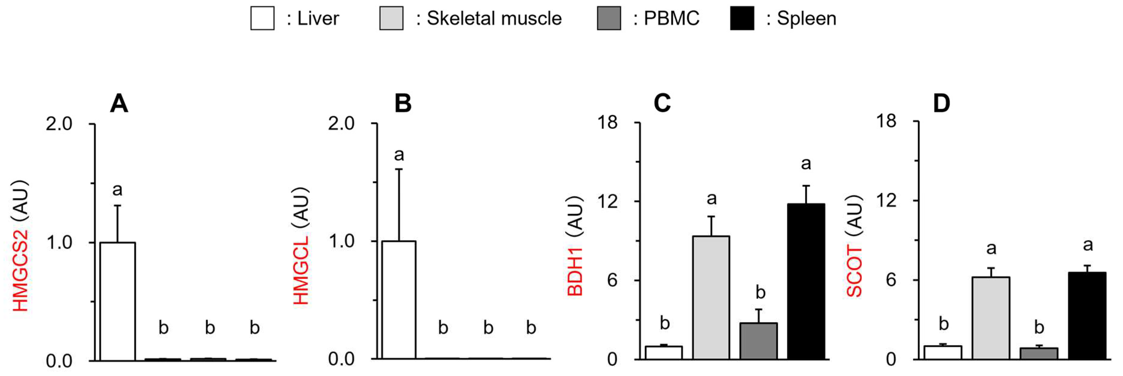 Vetsci 11 00405 g004