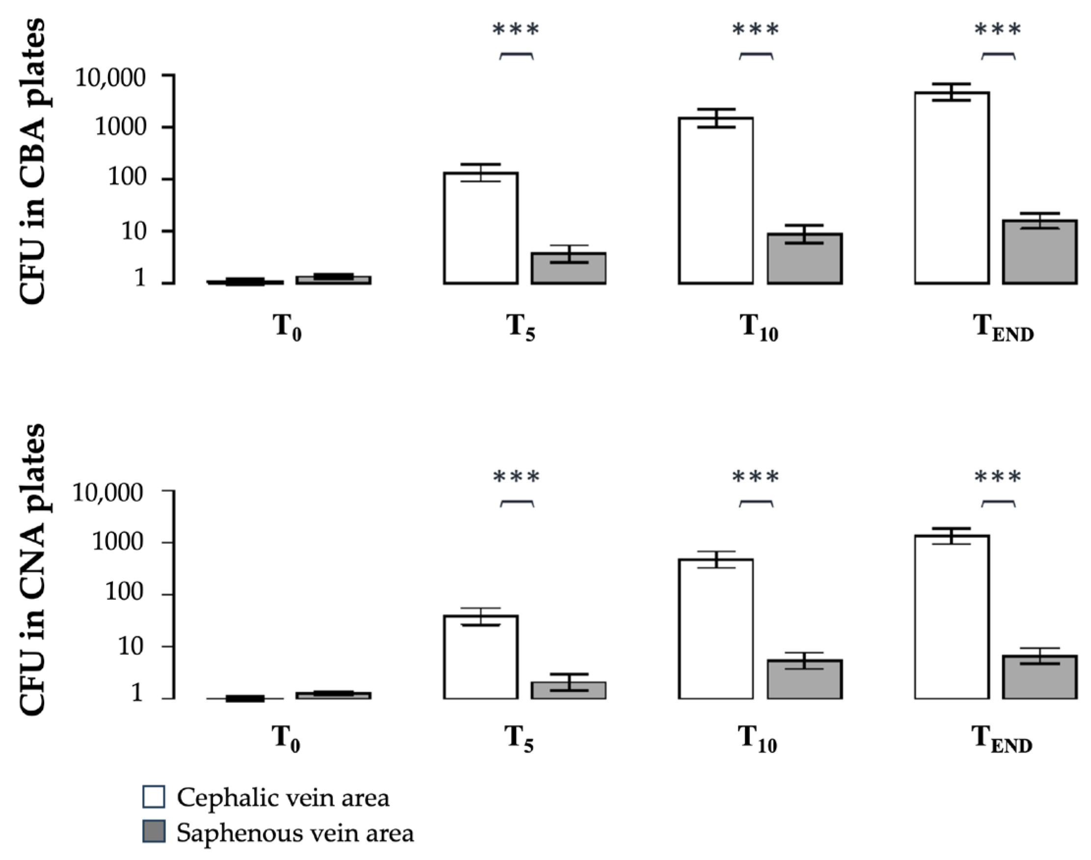 Vetsci 11 00407 g002