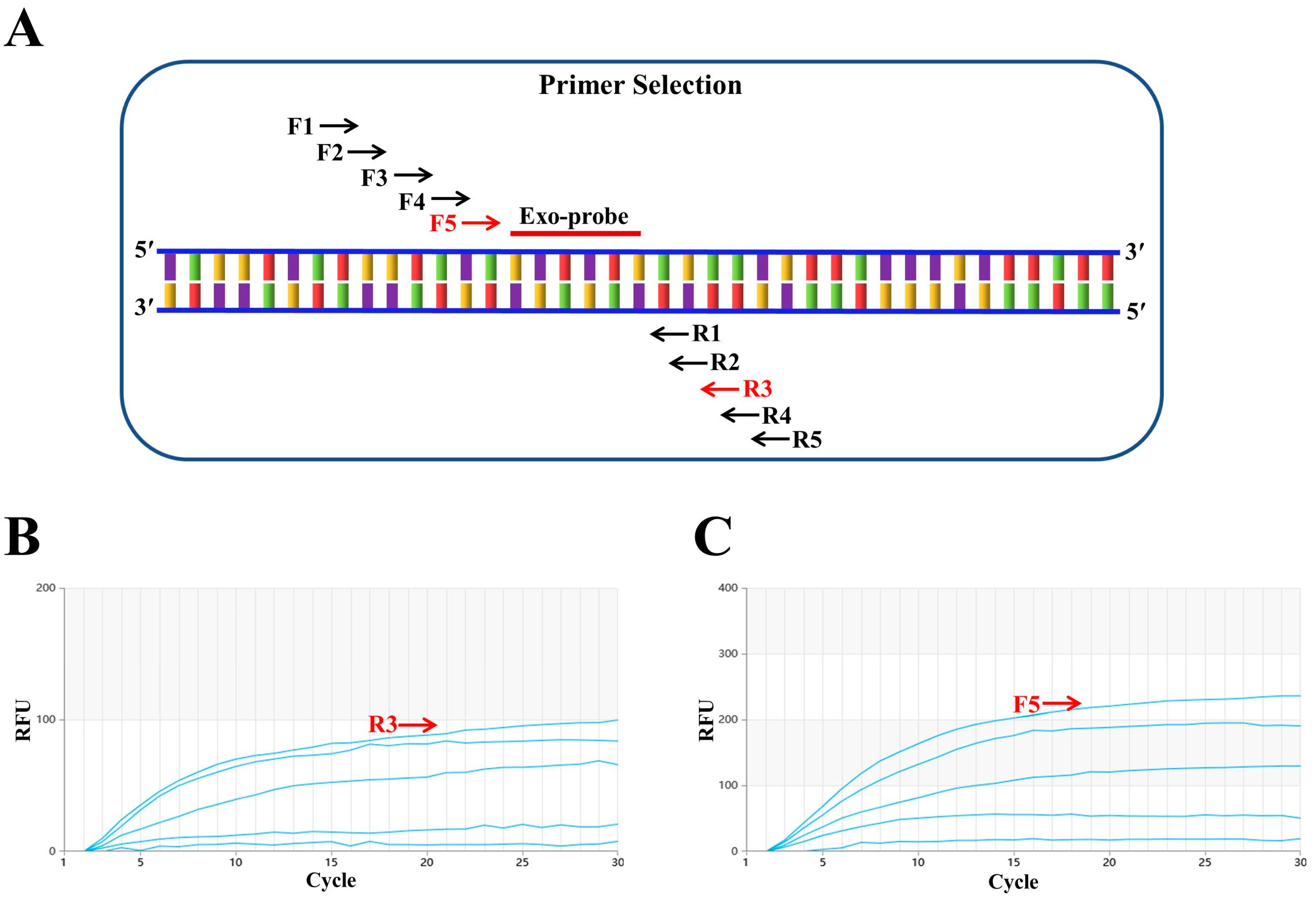 Vetsci 11 00411 g001