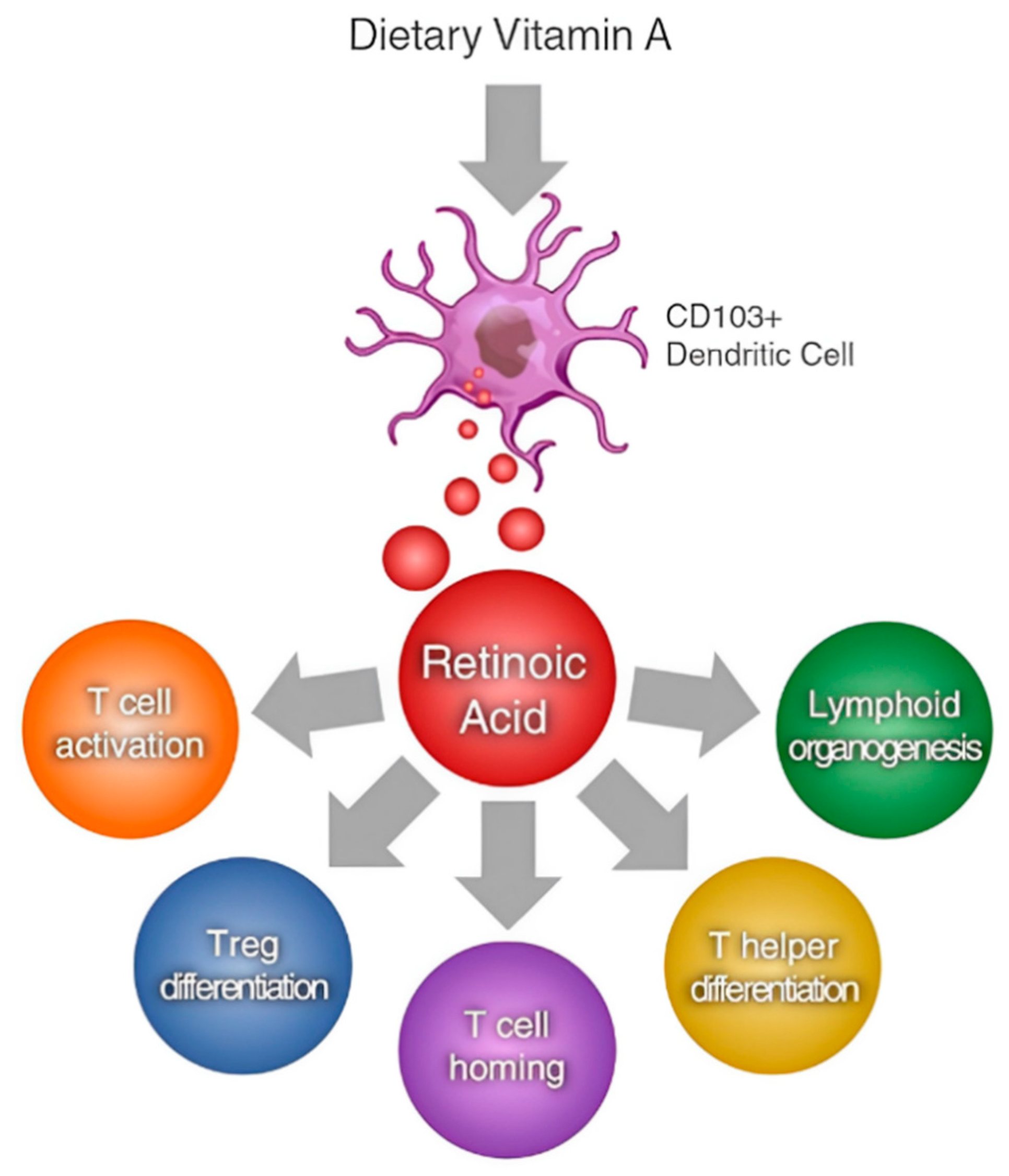 Vetsci 11 00421 g002 Vetsci 11 00421 g002