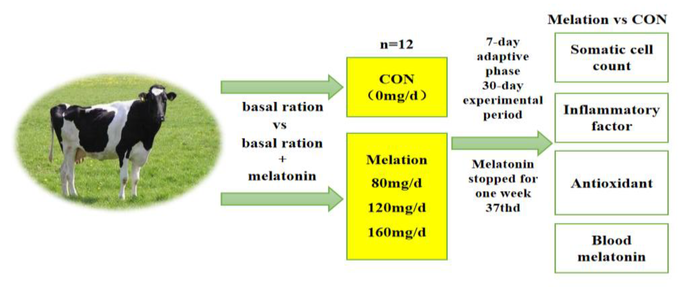Vetsci 11 00431 g001