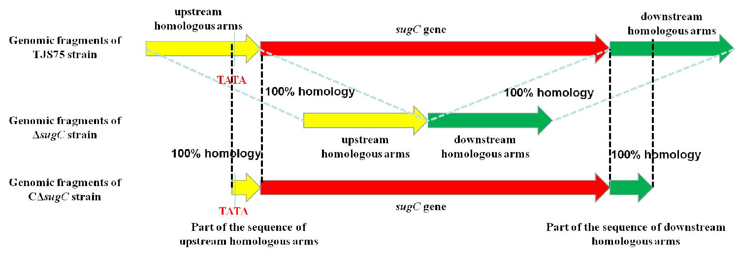 Vetsci 11 00447 g002