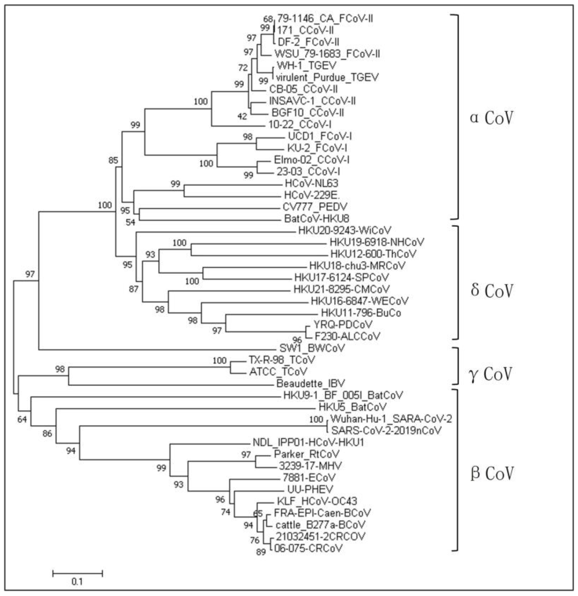 Vetsci 11 00456 g001 Vetsci 11 00456 g001