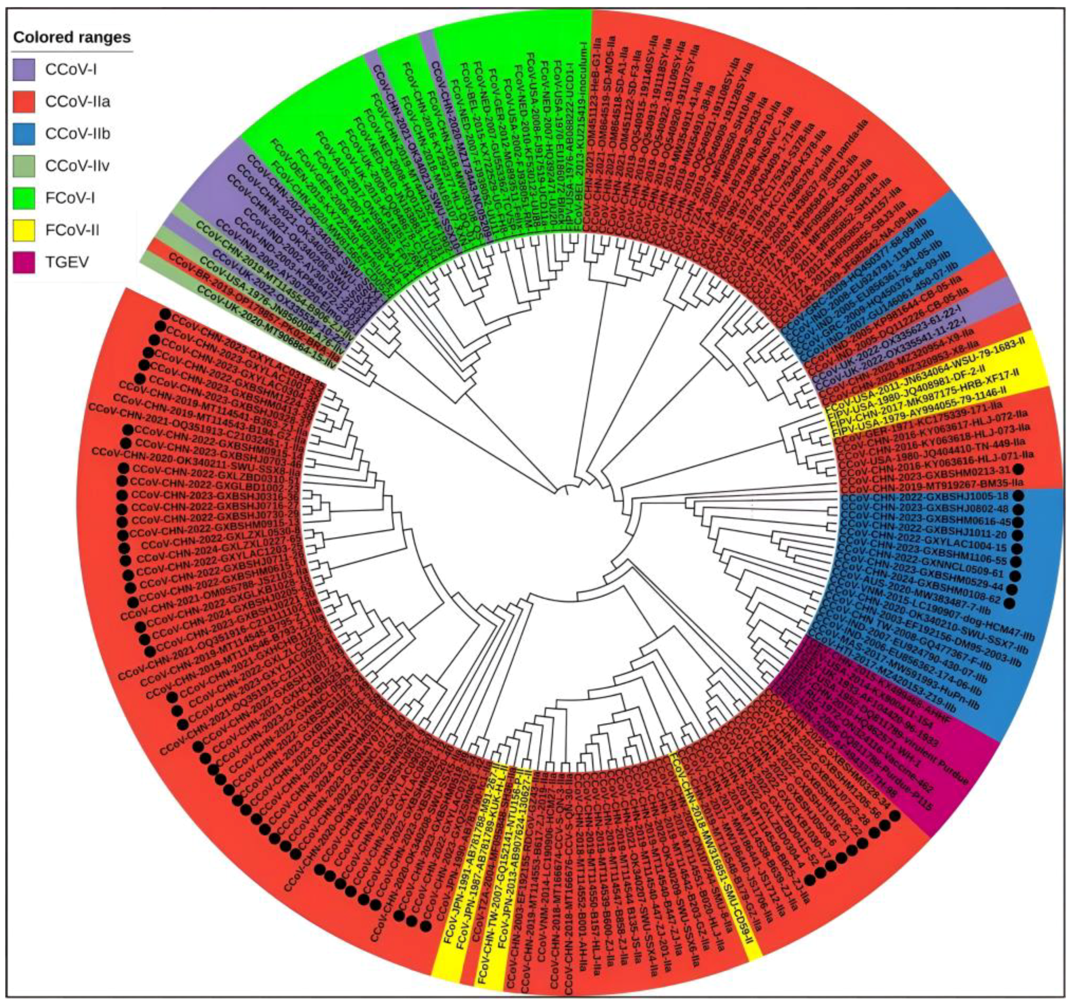 Vetsci 11 00456 g004 Vetsci 11 00456 g004