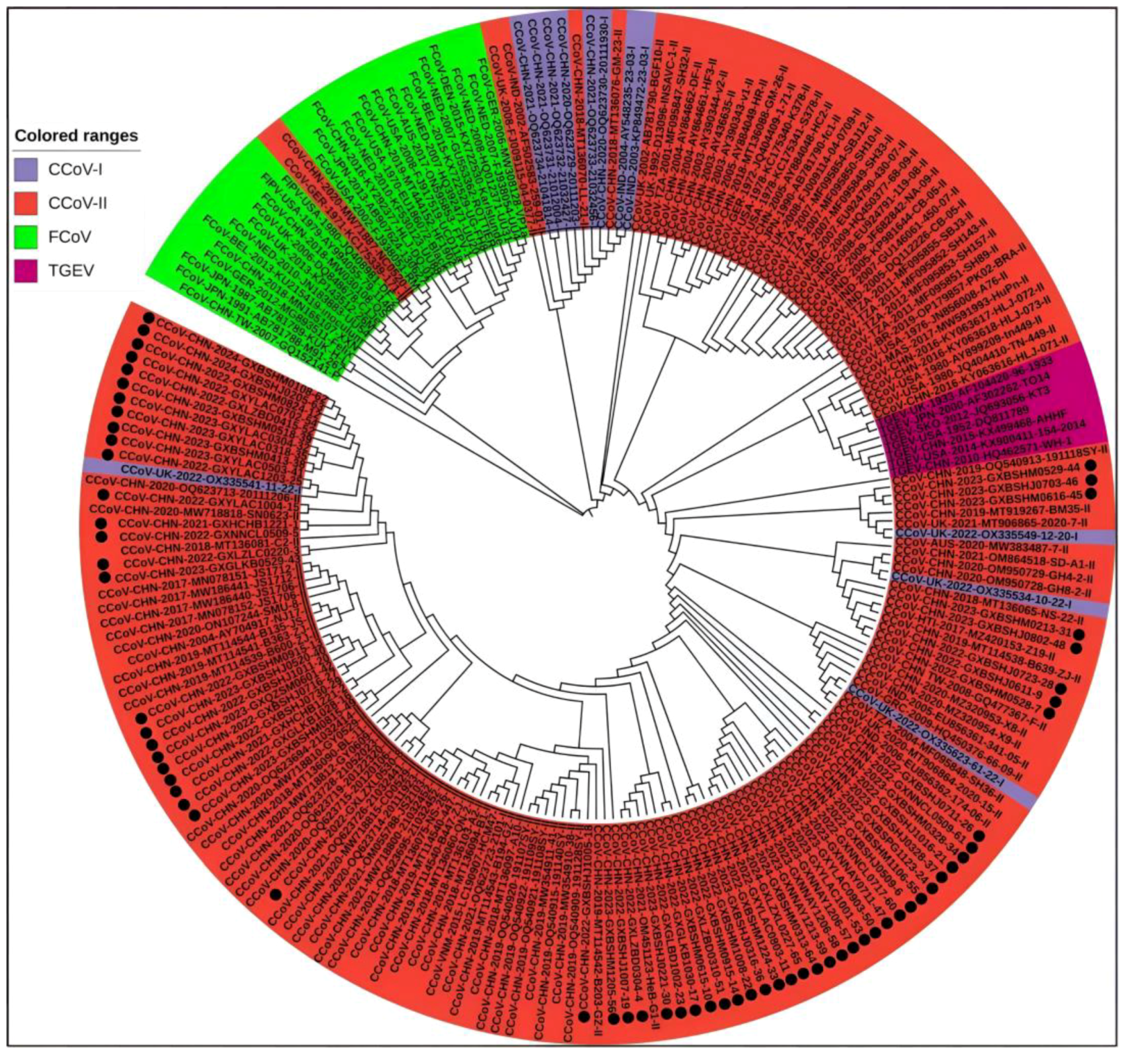 Vetsci 11 00456 g005 Vetsci 11 00456 g005
