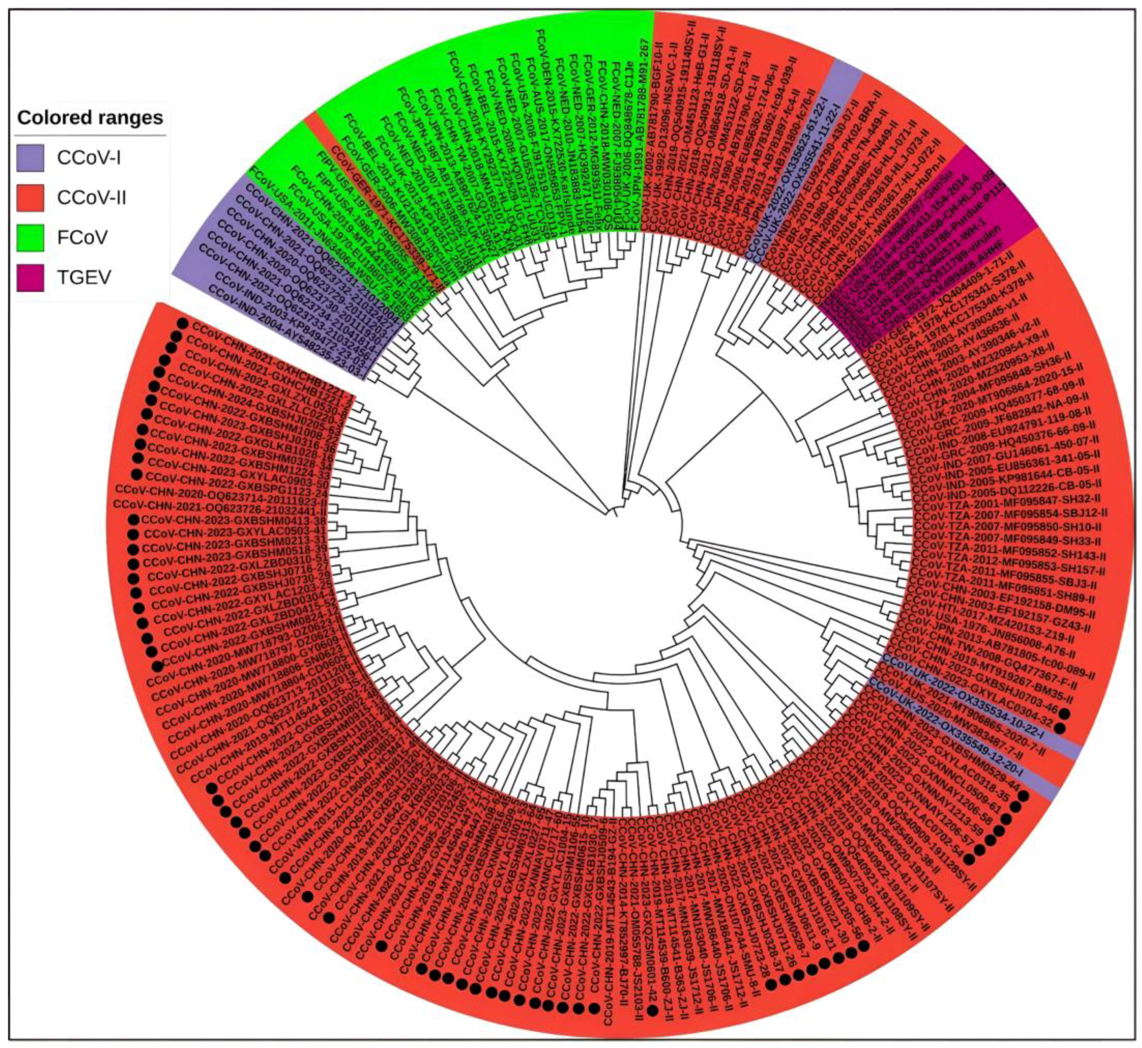 Vetsci 11 00456 g006 Vetsci 11 00456 g006