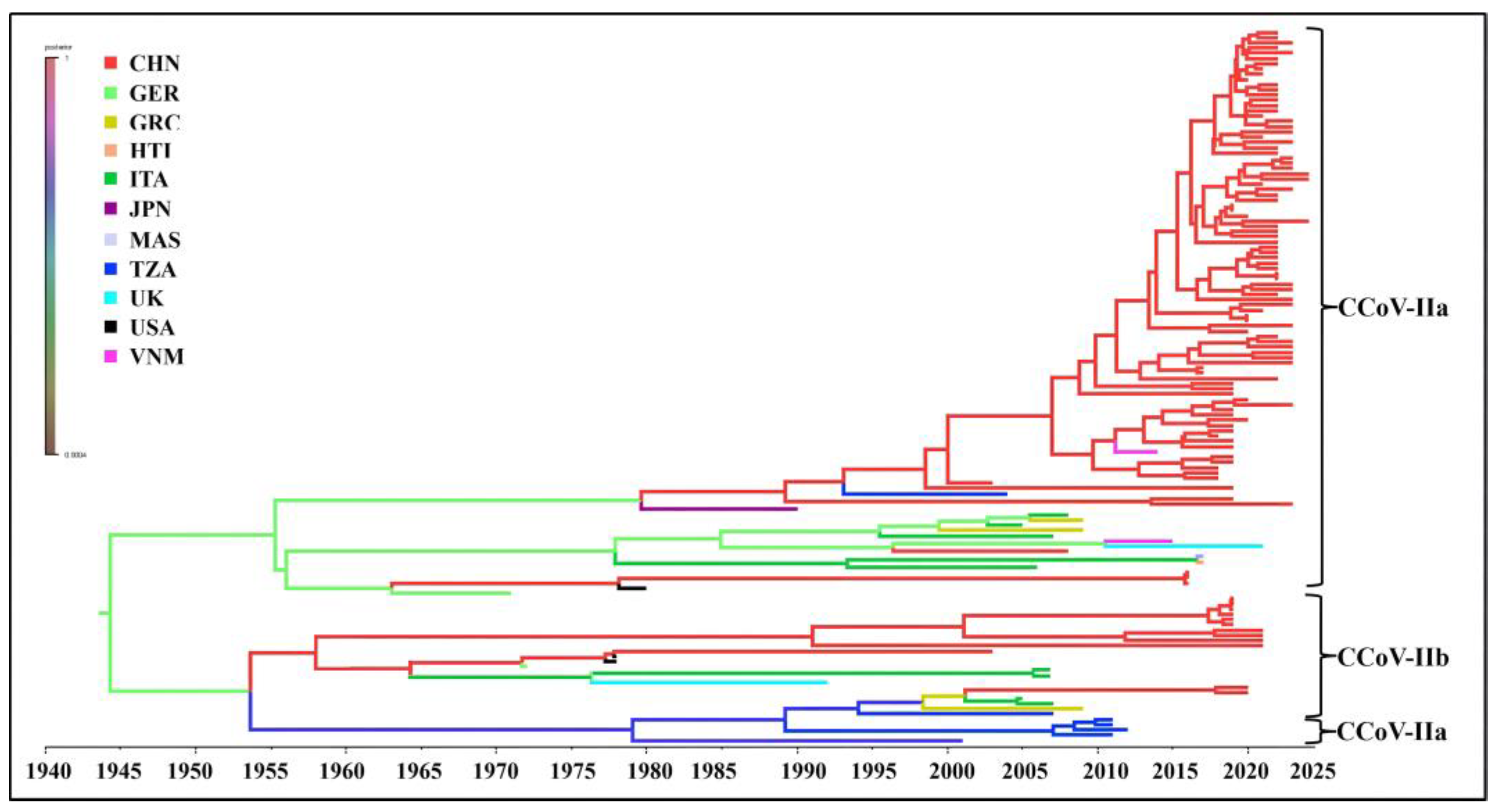Vetsci 11 00456 g007 Vetsci 11 00456 g007