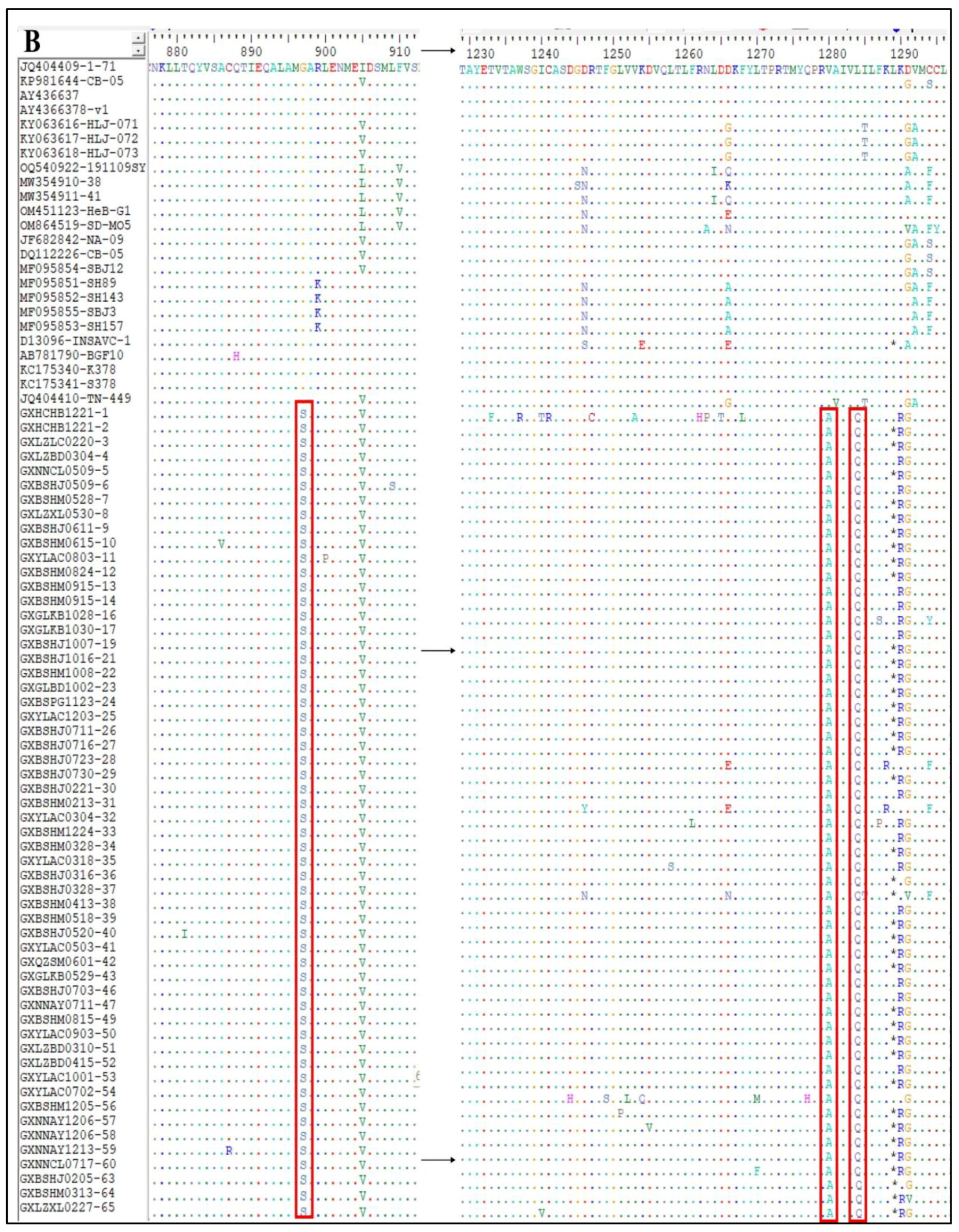 Vetsci 11 00456 g009b Vetsci 11 00456 g009b