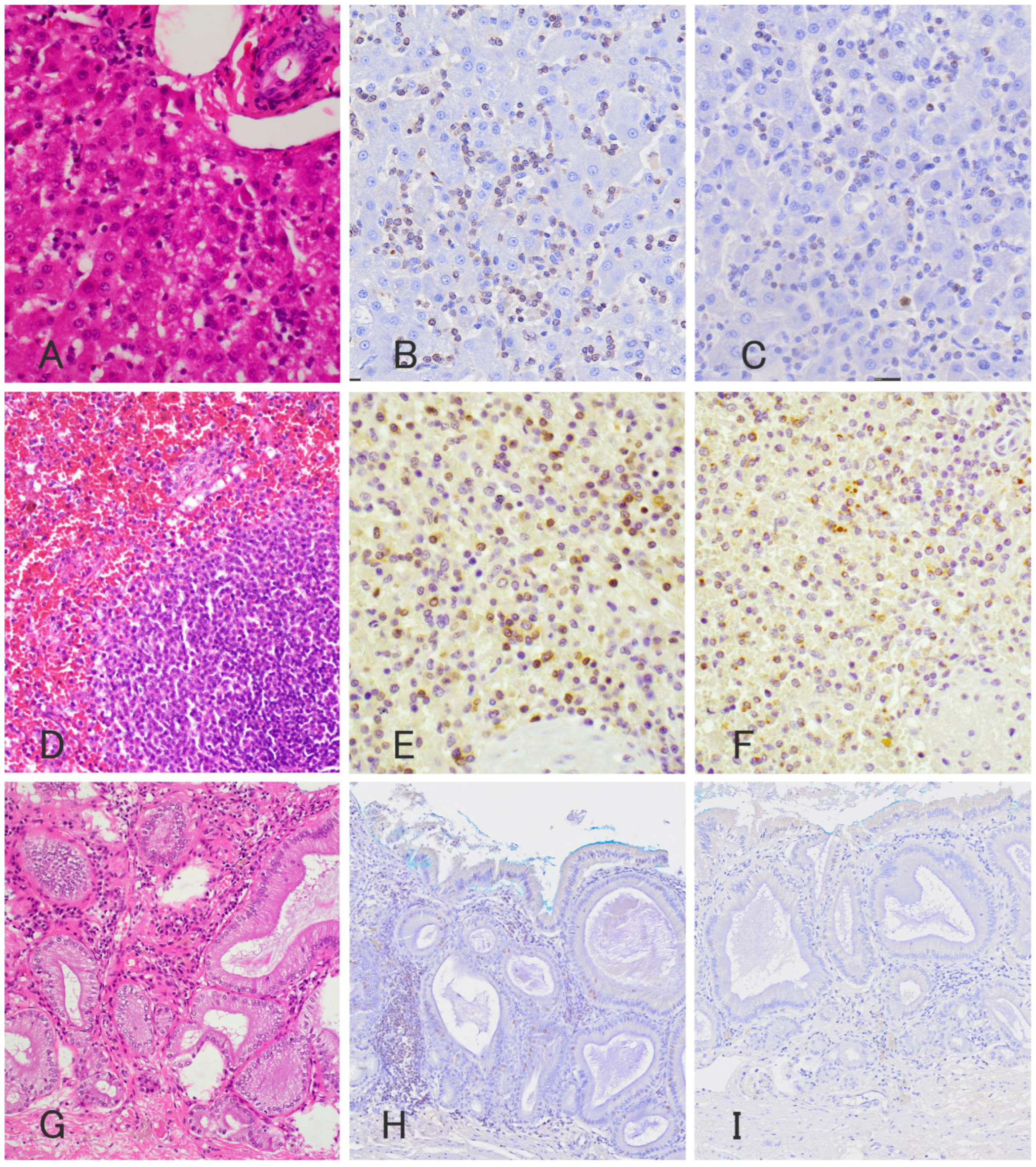 Vetsci 11 00458 g002