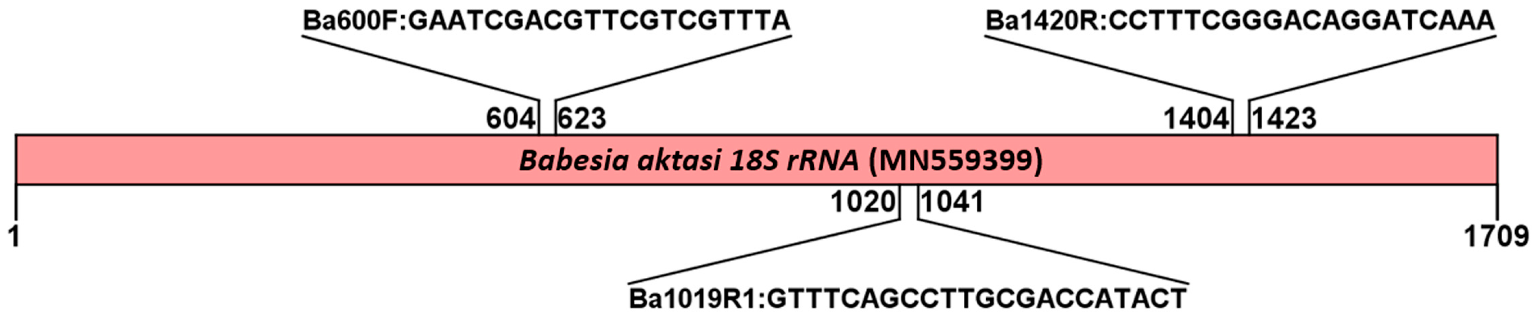 Vetsci 11 00466 g001