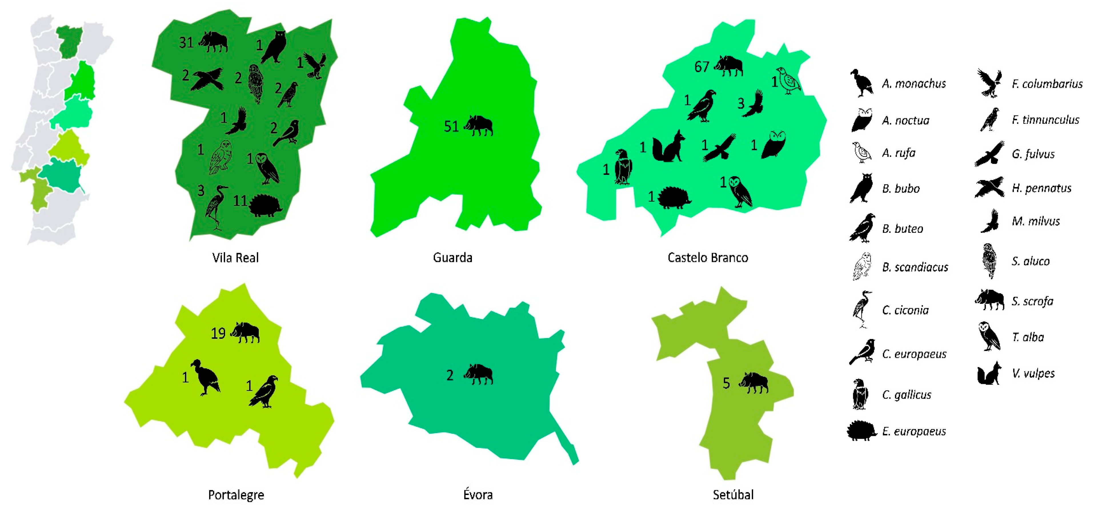 Vetsci 11 00469 g001