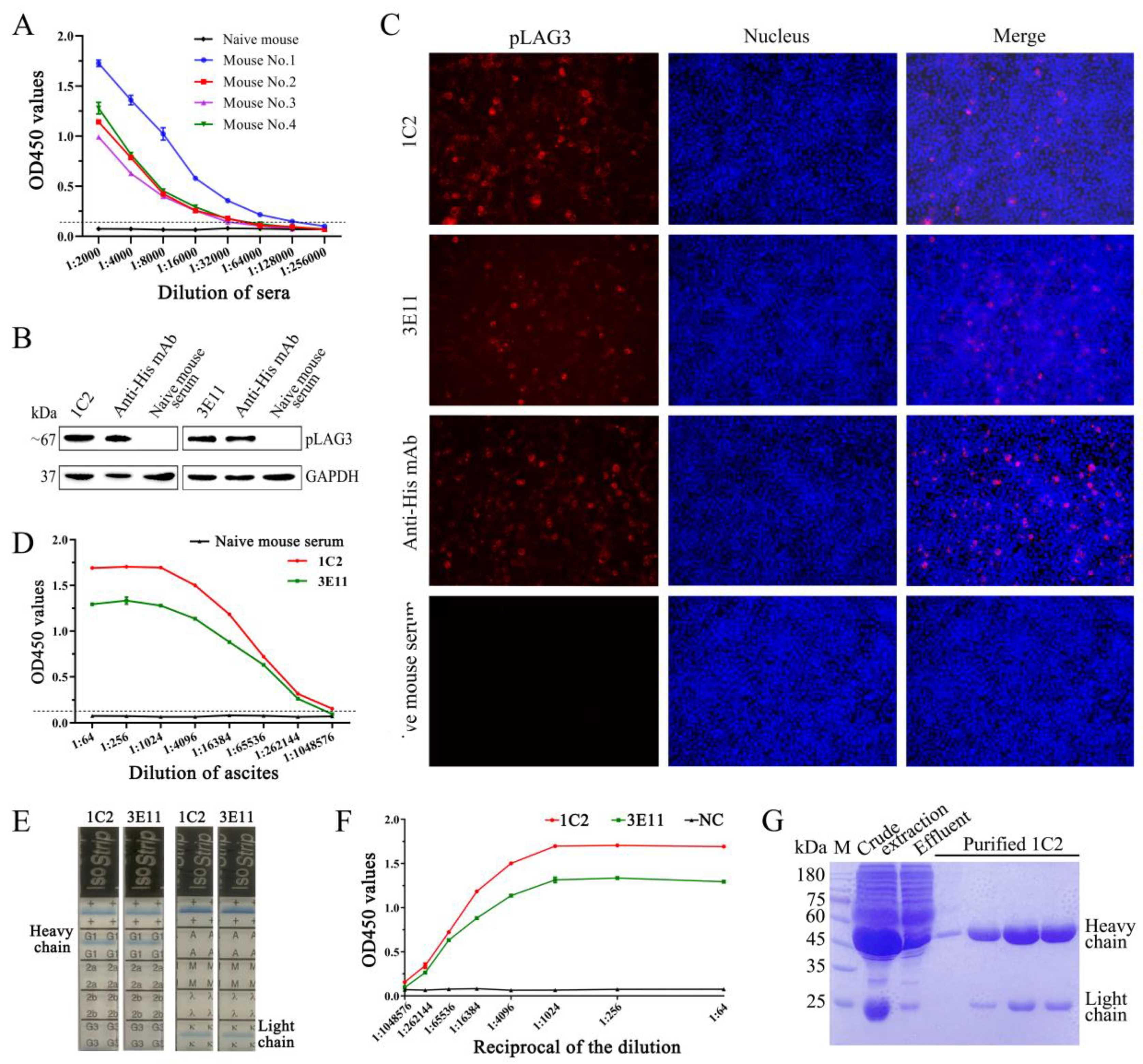 Vetsci 11 00483 g002