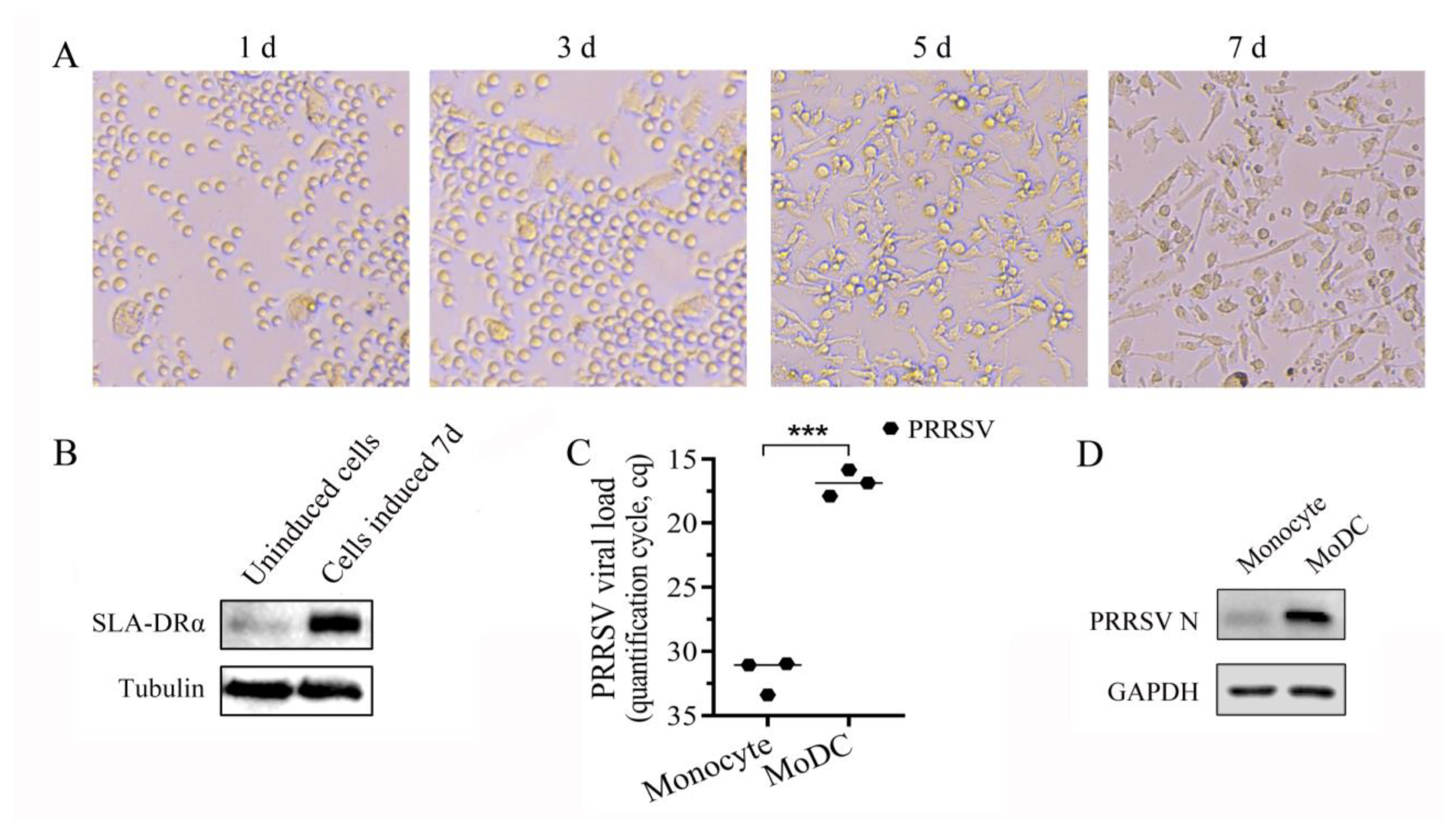 Vetsci 11 00483 g005