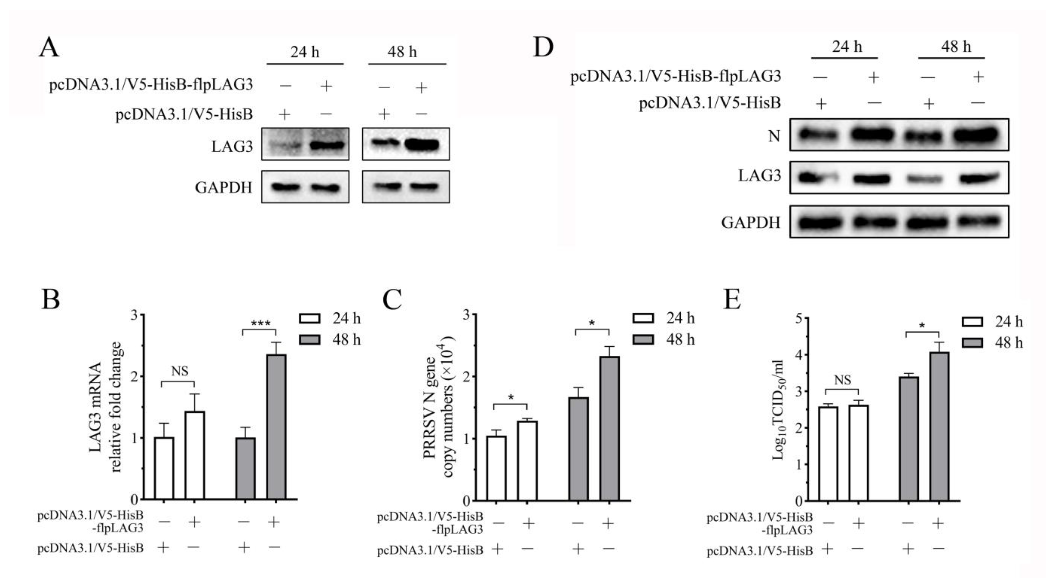 Vetsci 11 00483 g006