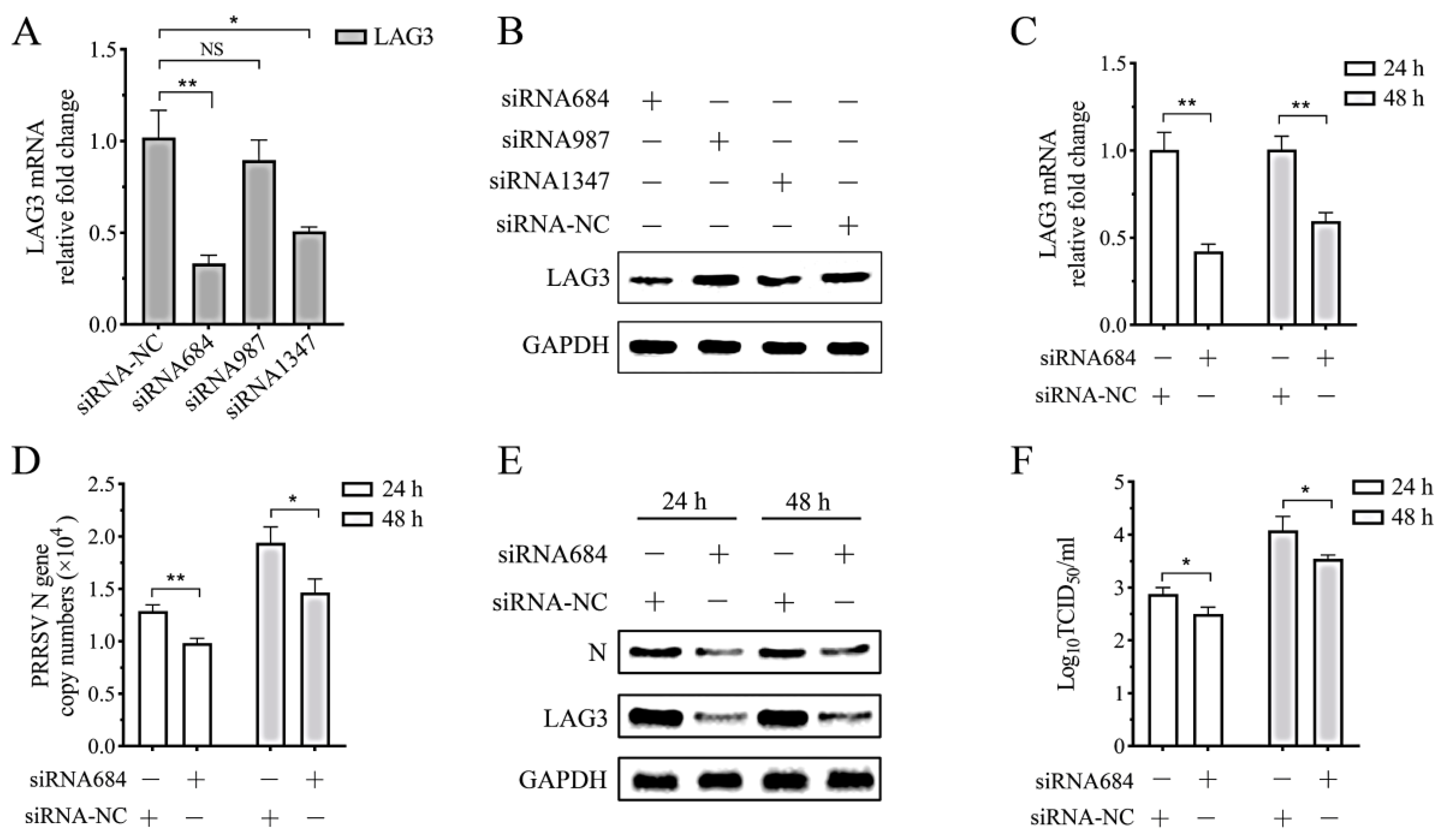 Vetsci 11 00483 g007