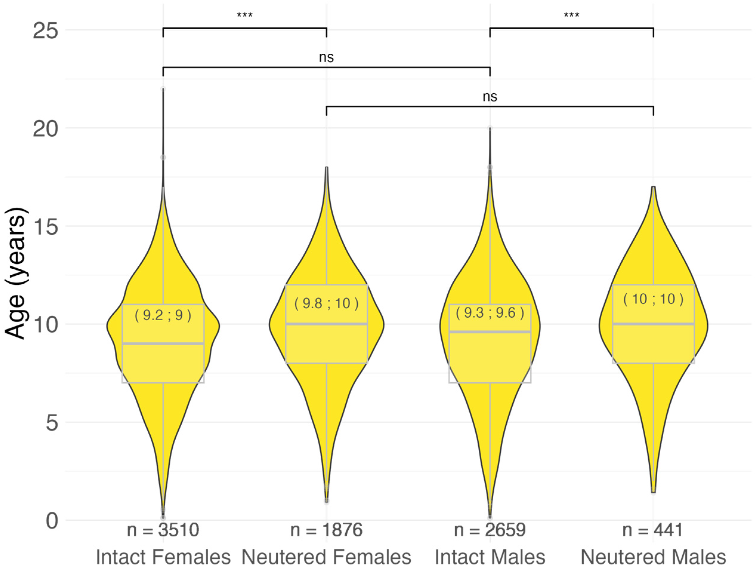 Vetsci 11 00485 g002