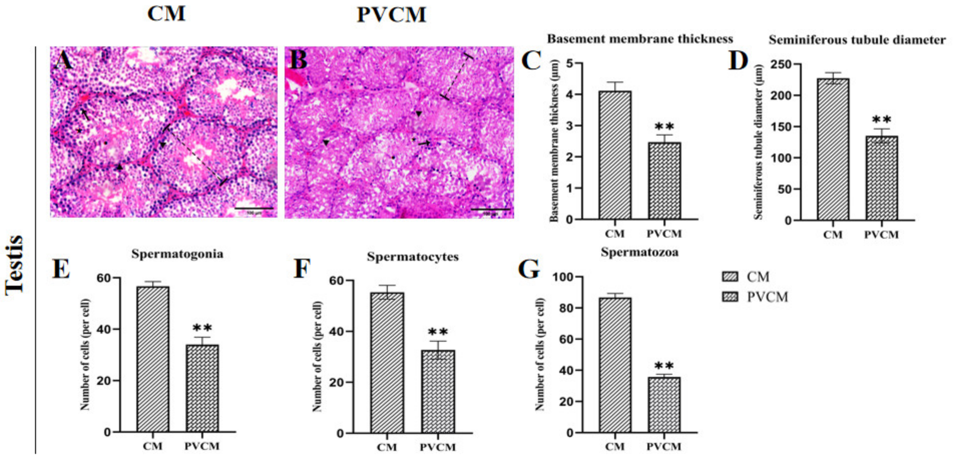Vetsci 11 00488 g001