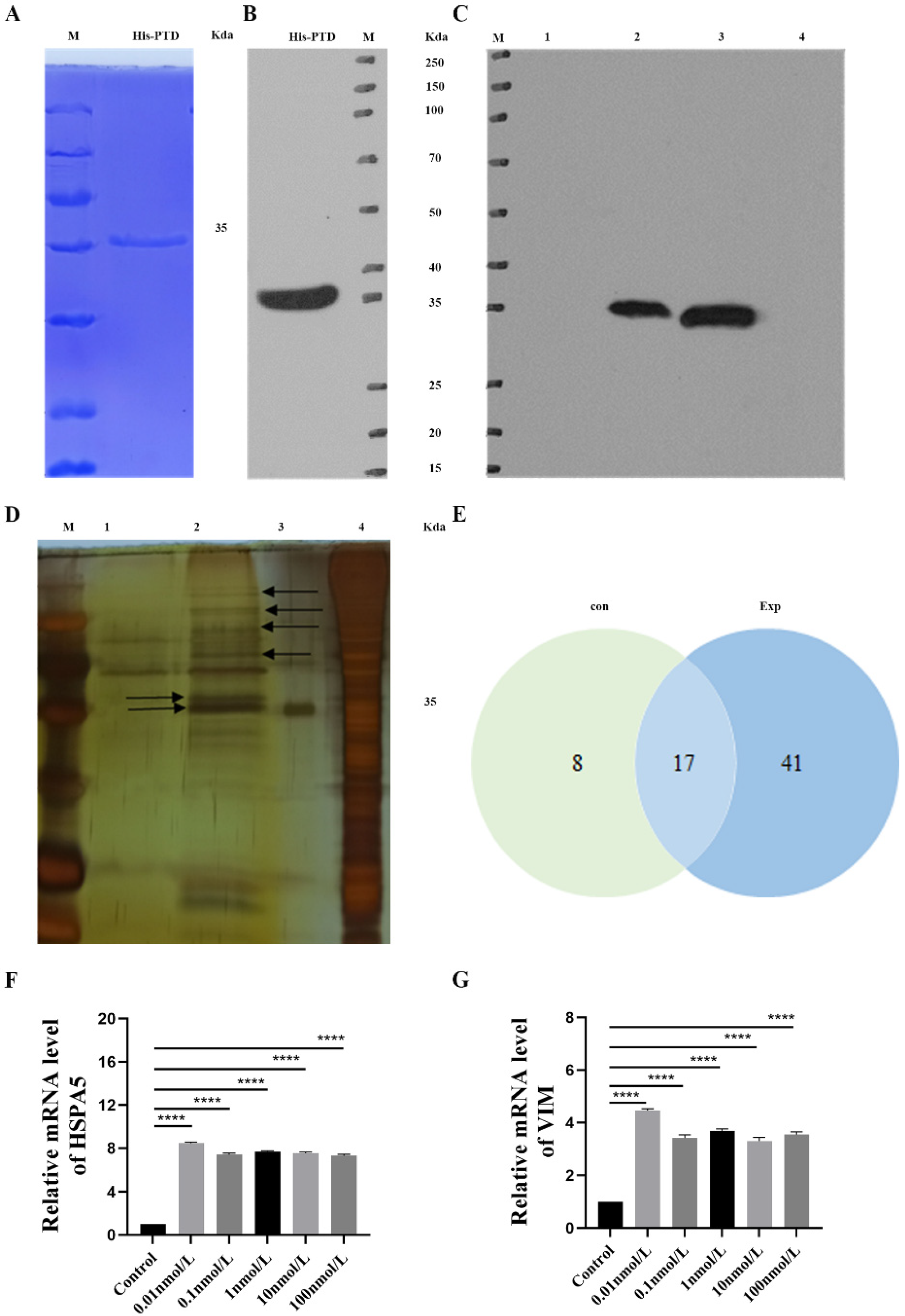 Vetsci 11 00543 g003