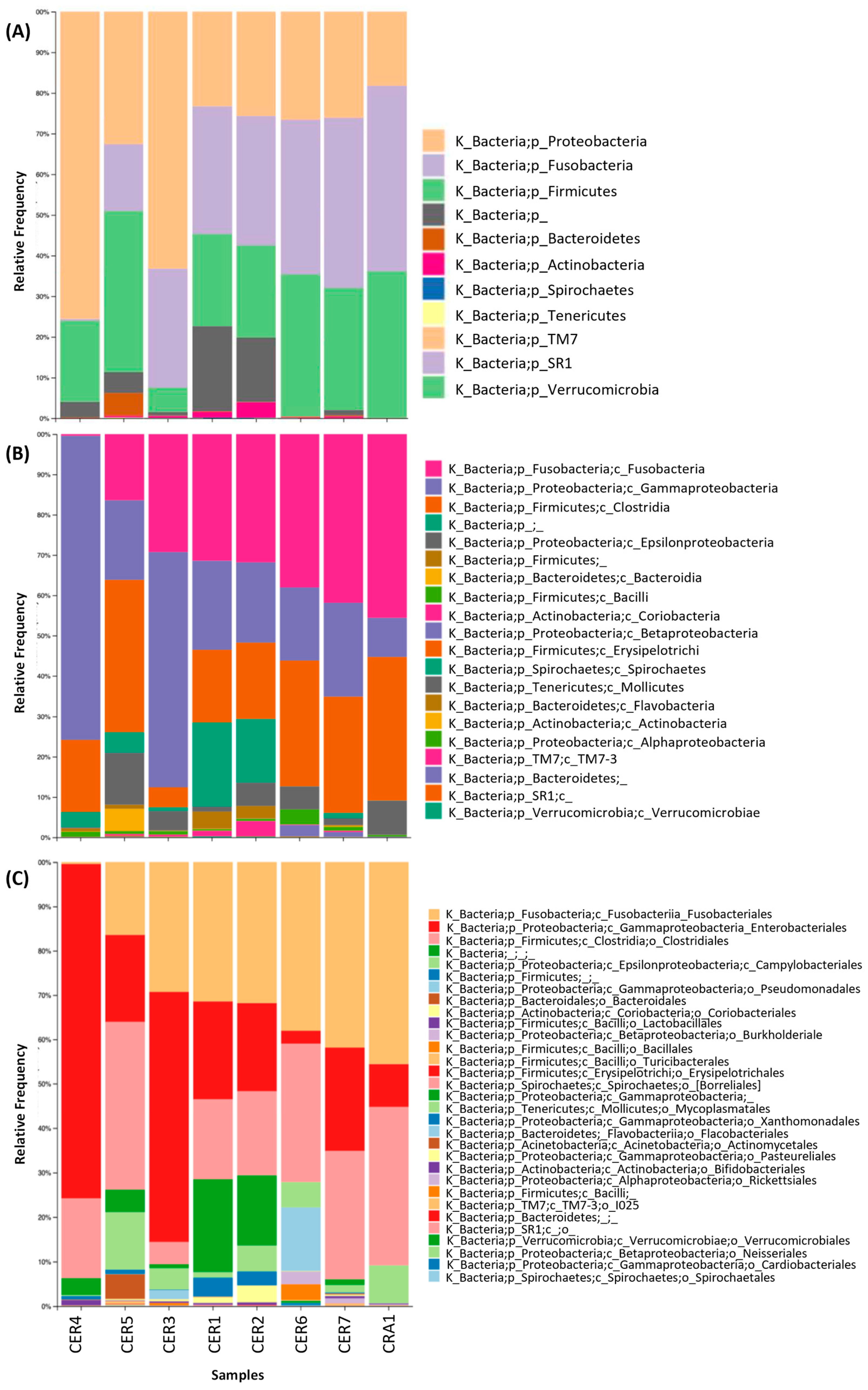 Vetsci 11 00622 g001 Vetsci 11 00622 g001