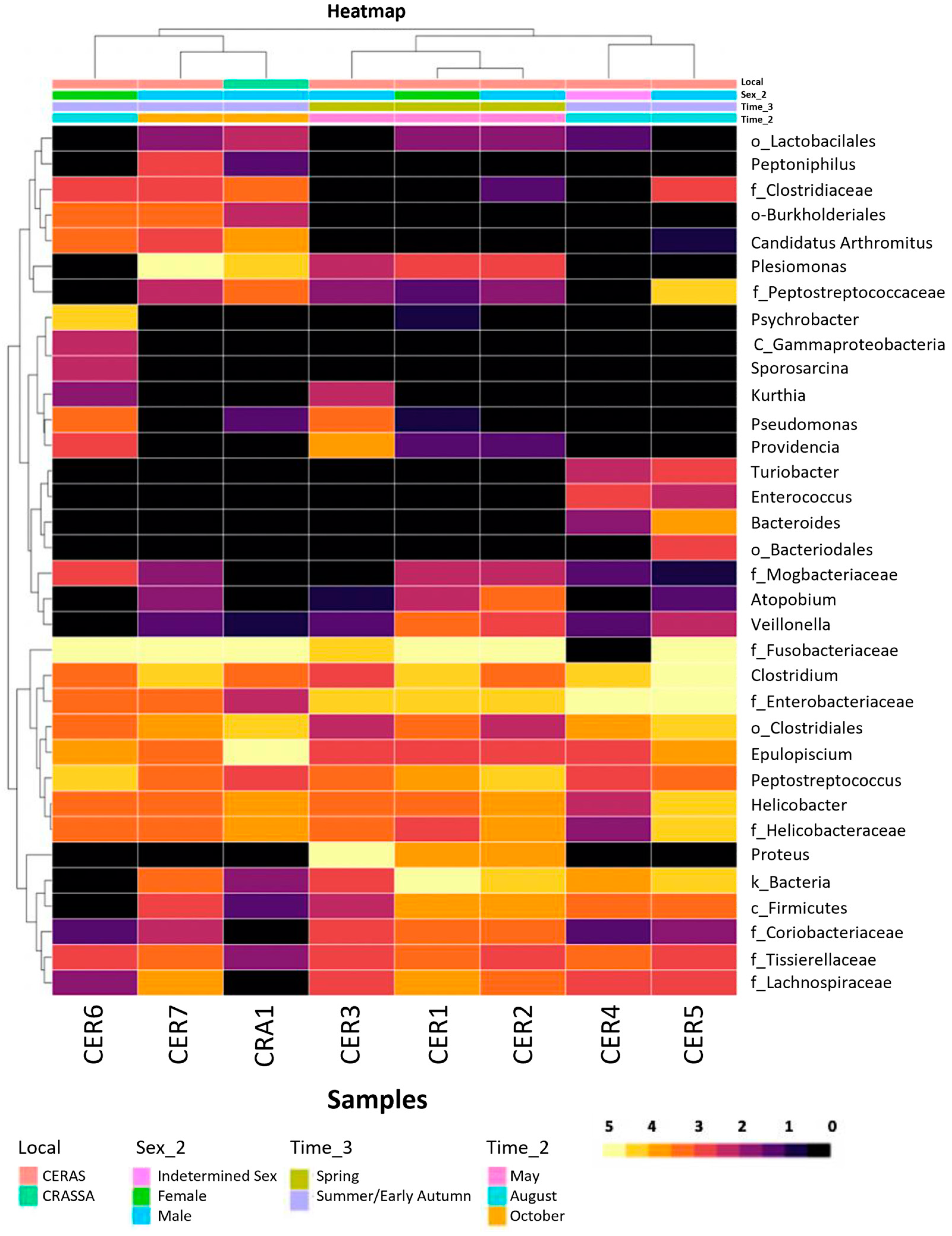 Vetsci 11 00622 g003 Vetsci 11 00622 g003
