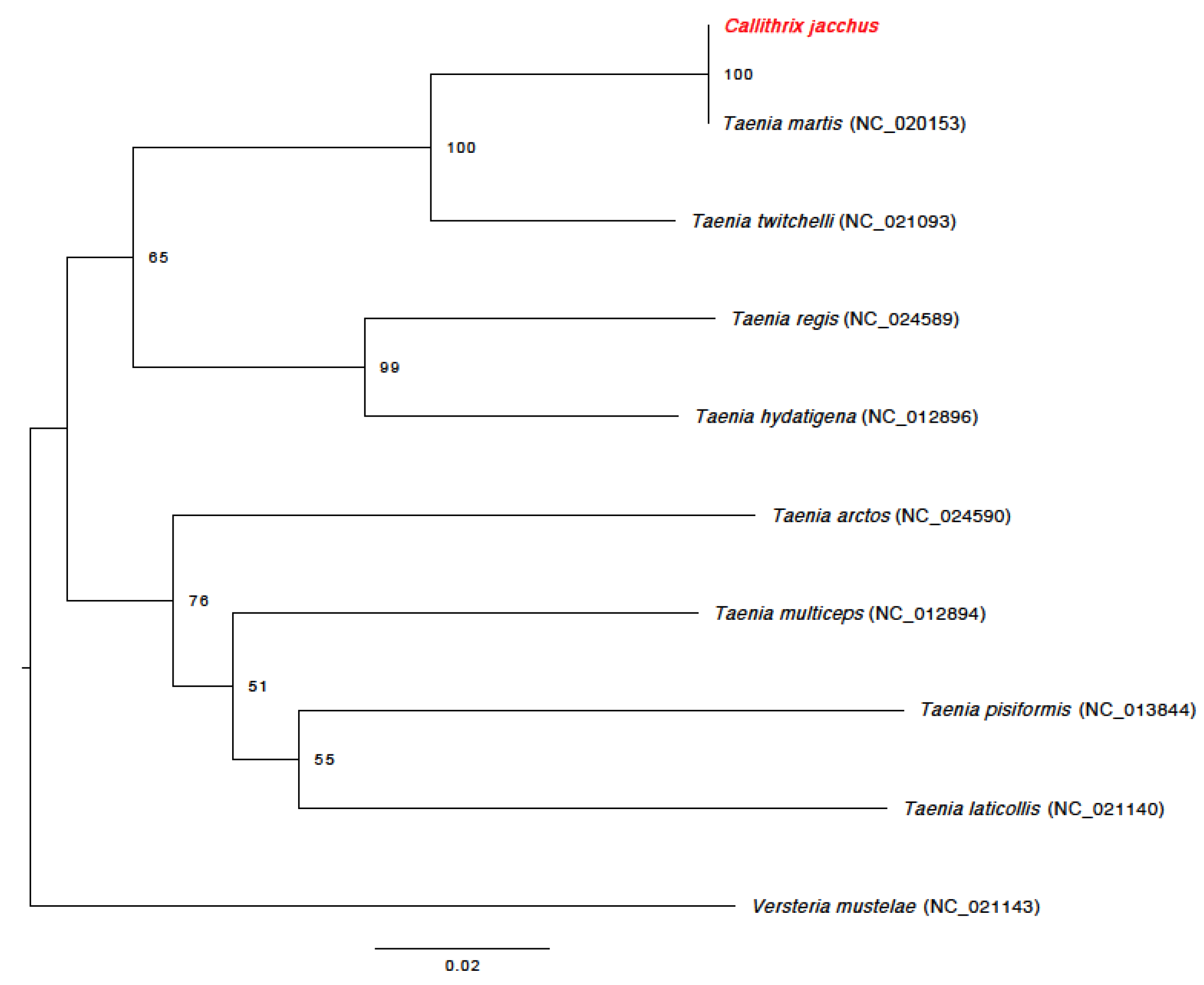 Vetsci 11 00623 g004