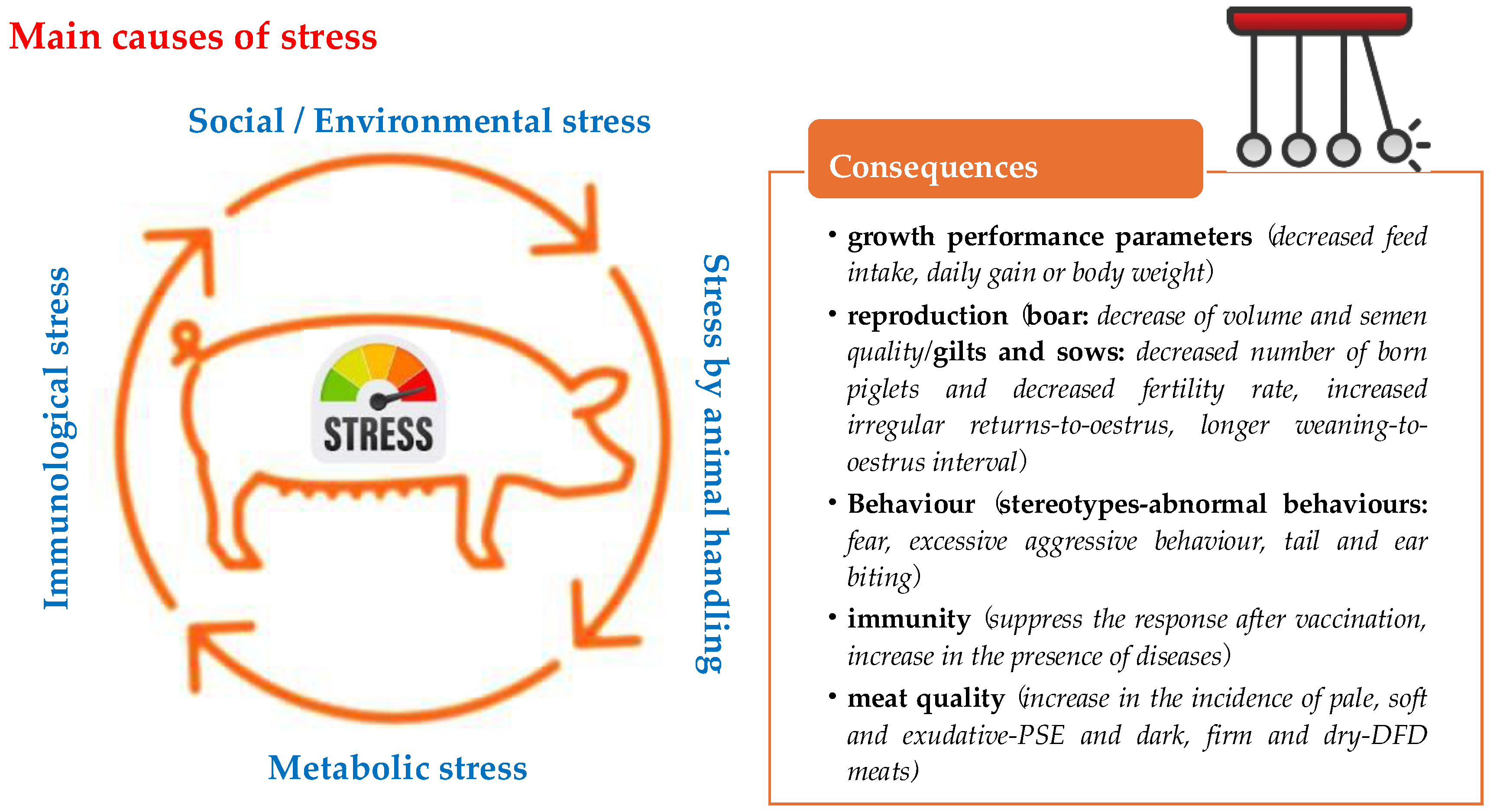 Vetsci 11 00640 g001 Vetsci 11 00640 g001