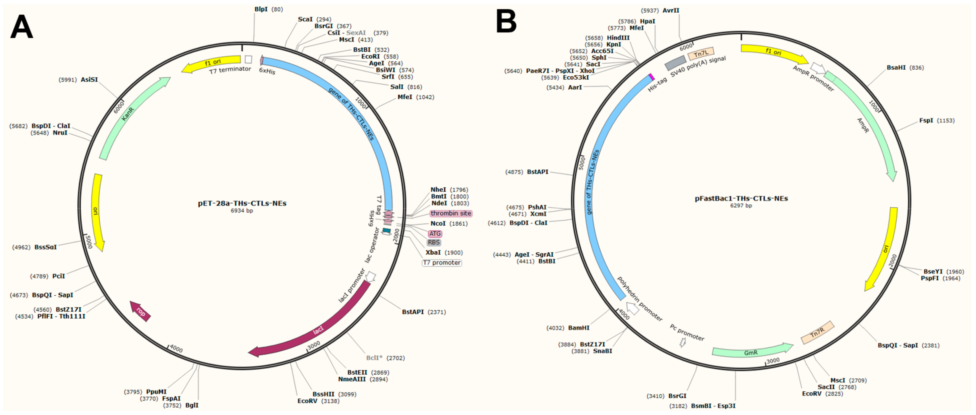 Vetsci 11 00659 g006