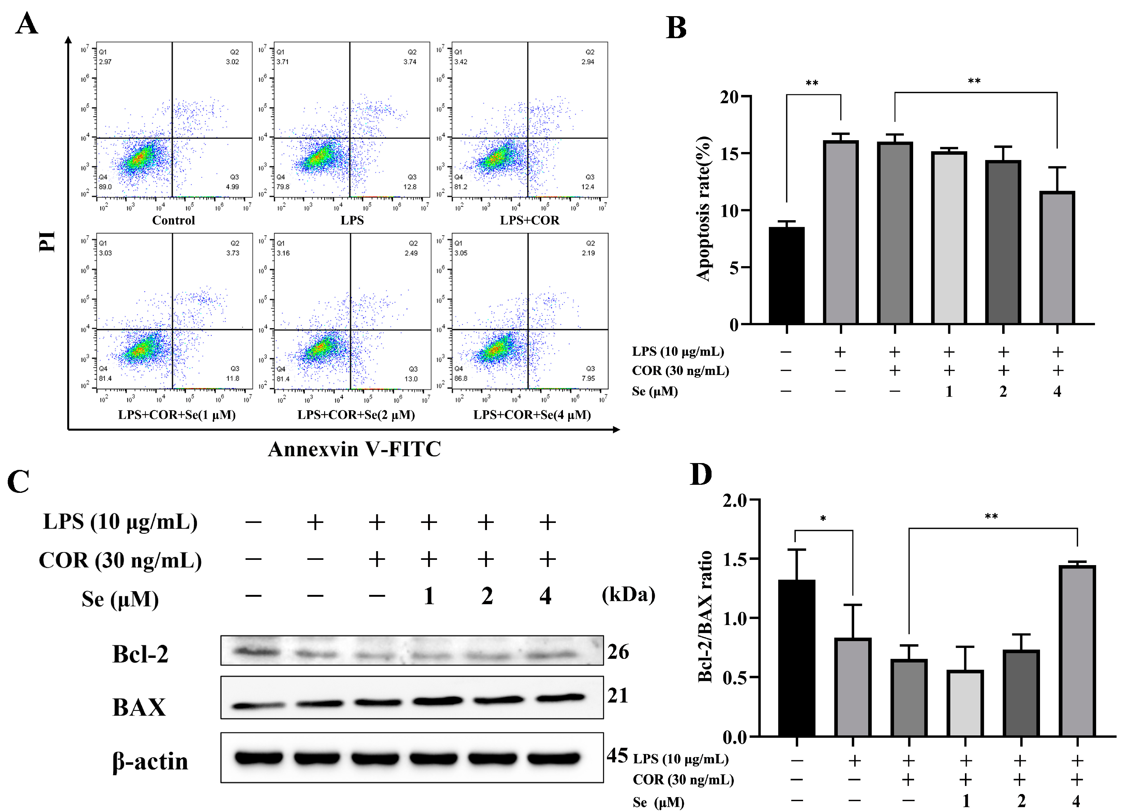 Vetsci 11 00674 g003