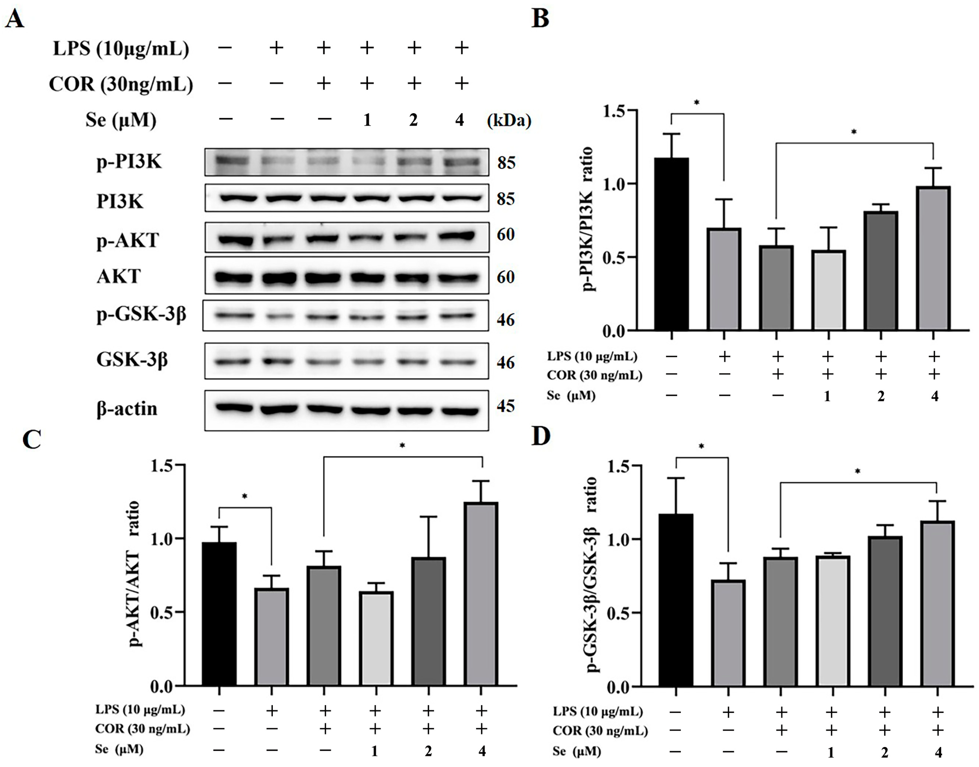 Vetsci 11 00674 g005